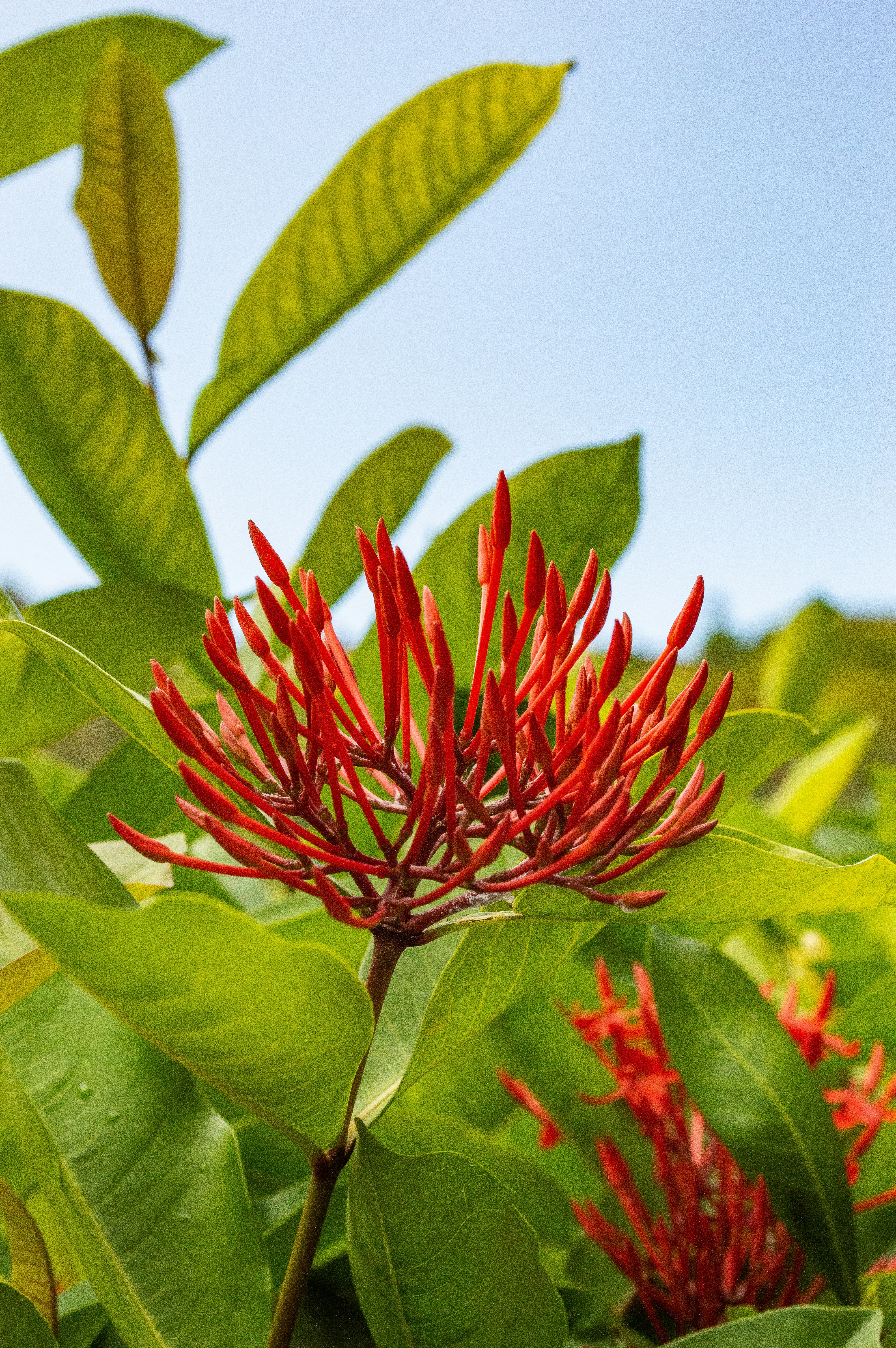 Photo by explorethewayside