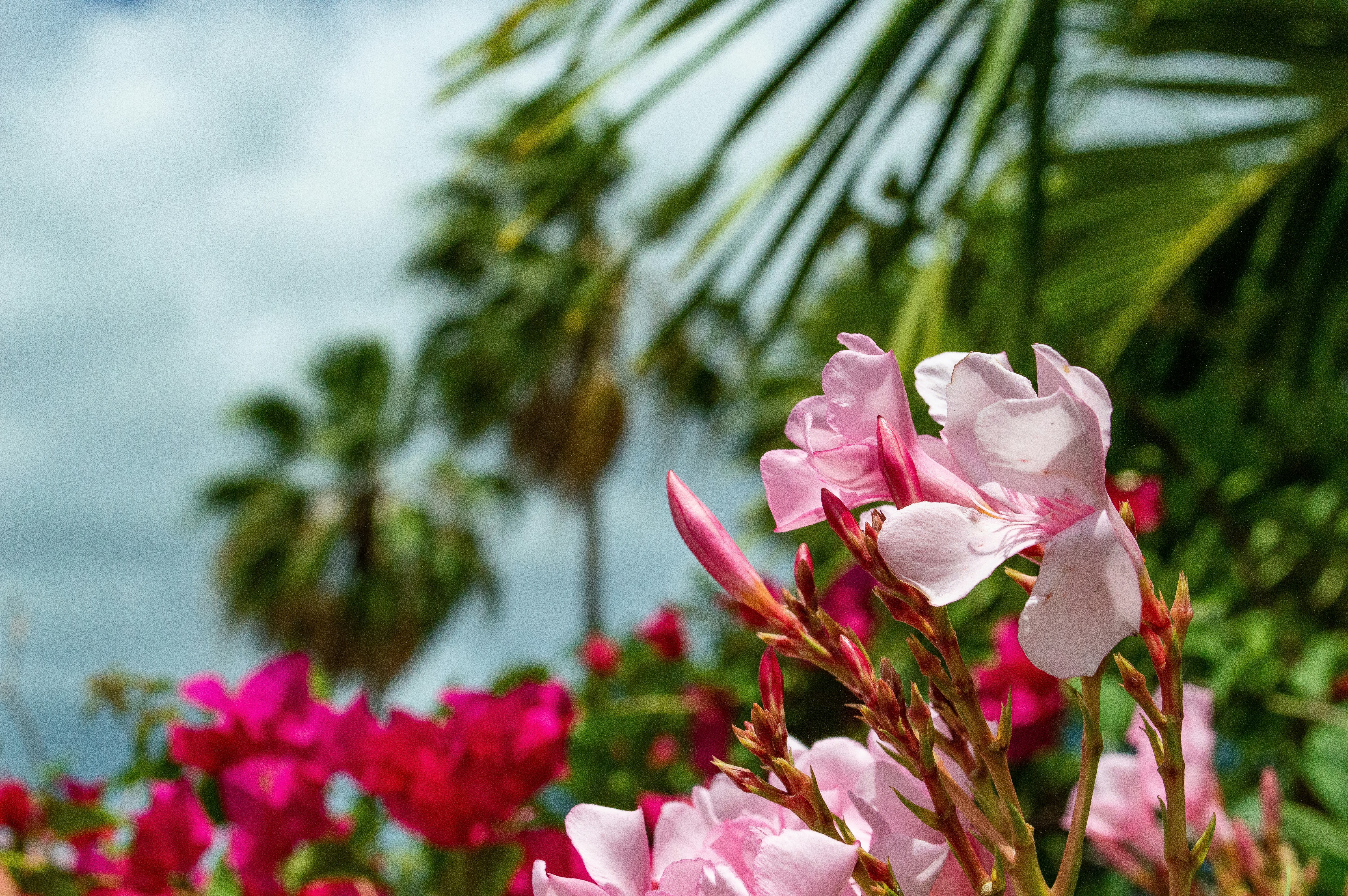 Photo by explorethewayside