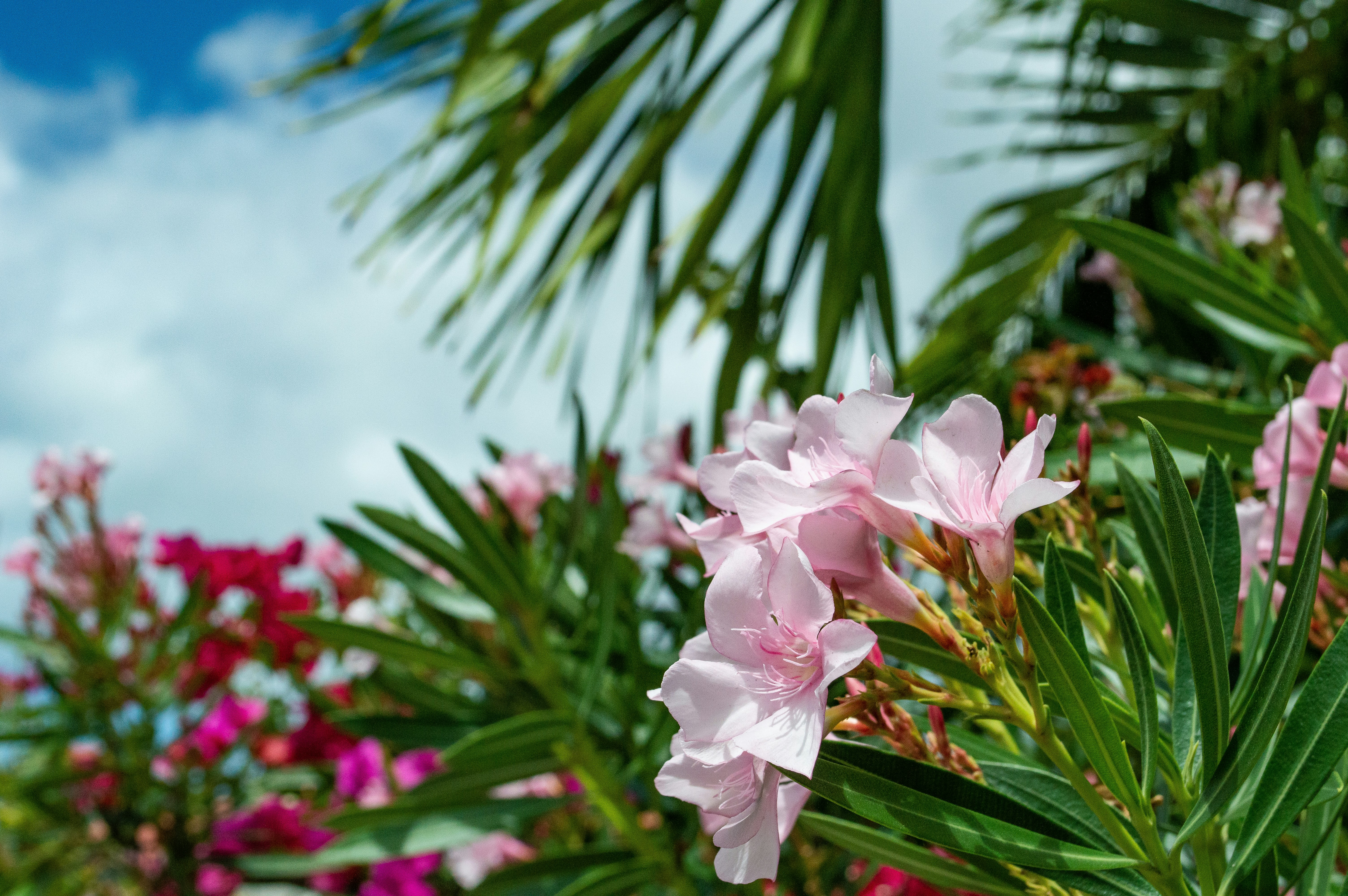 Photo by explorethewayside