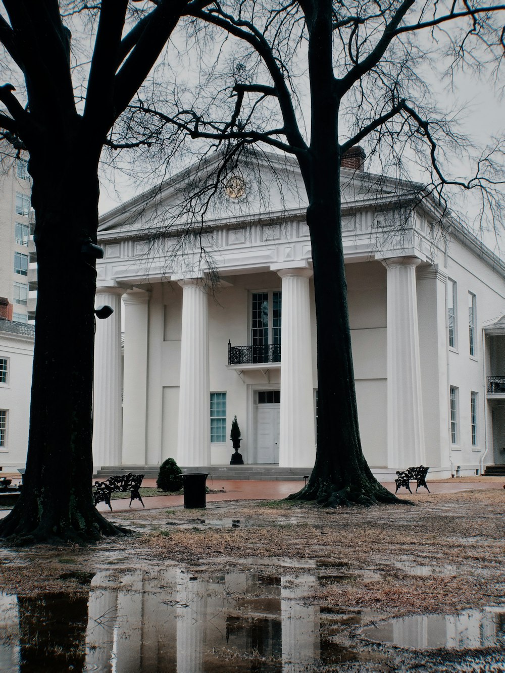 a large white building with columns and trees in front of it