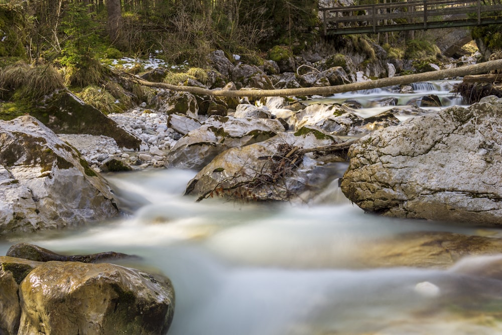 a stream running through a forest filled with rocks