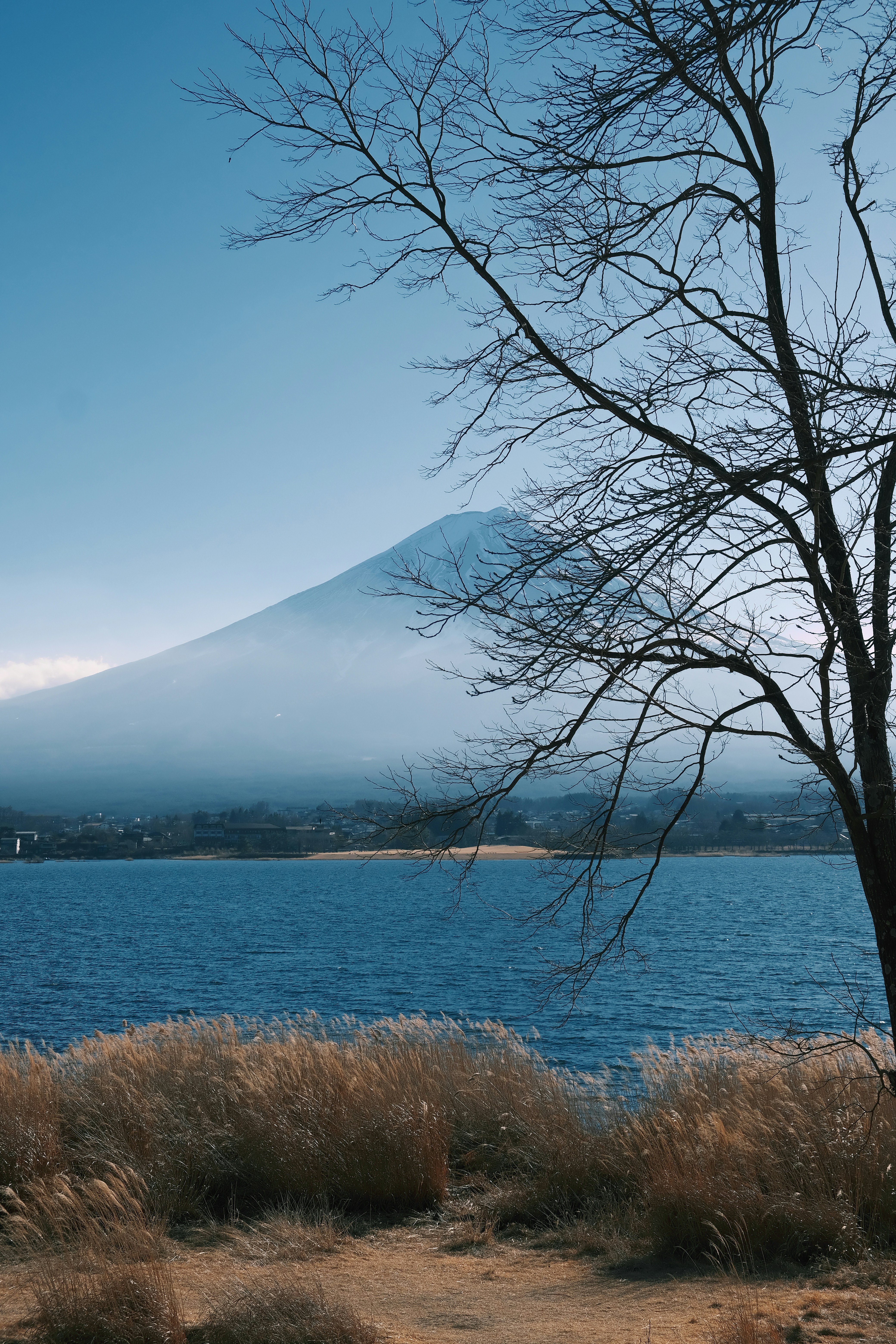 Photo by chanwei_snap