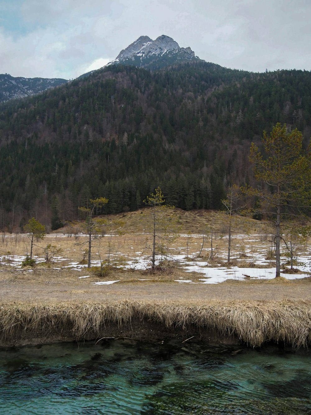 a grassy field with a mountain in the background