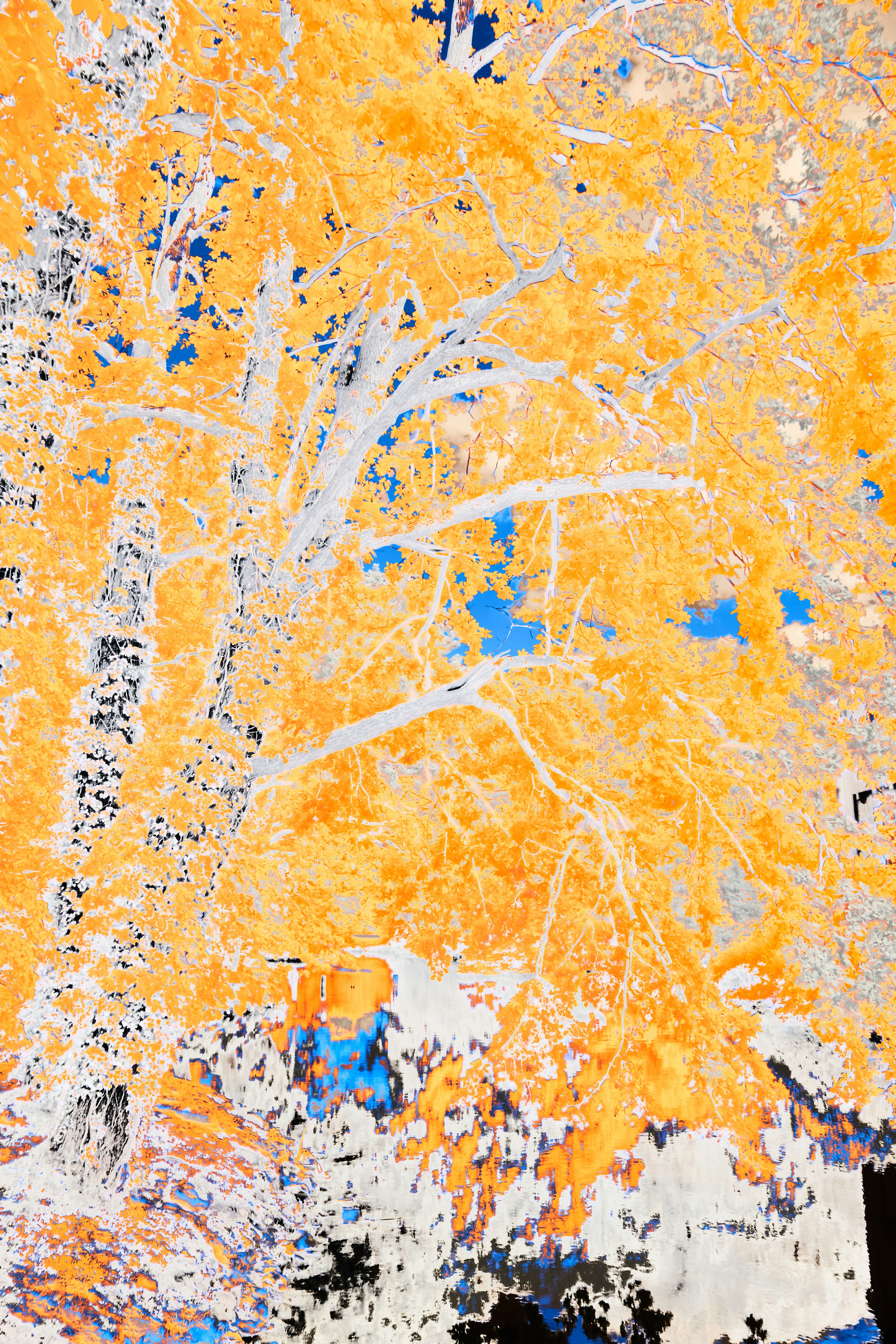 Photo by wolfgang_hasselmann