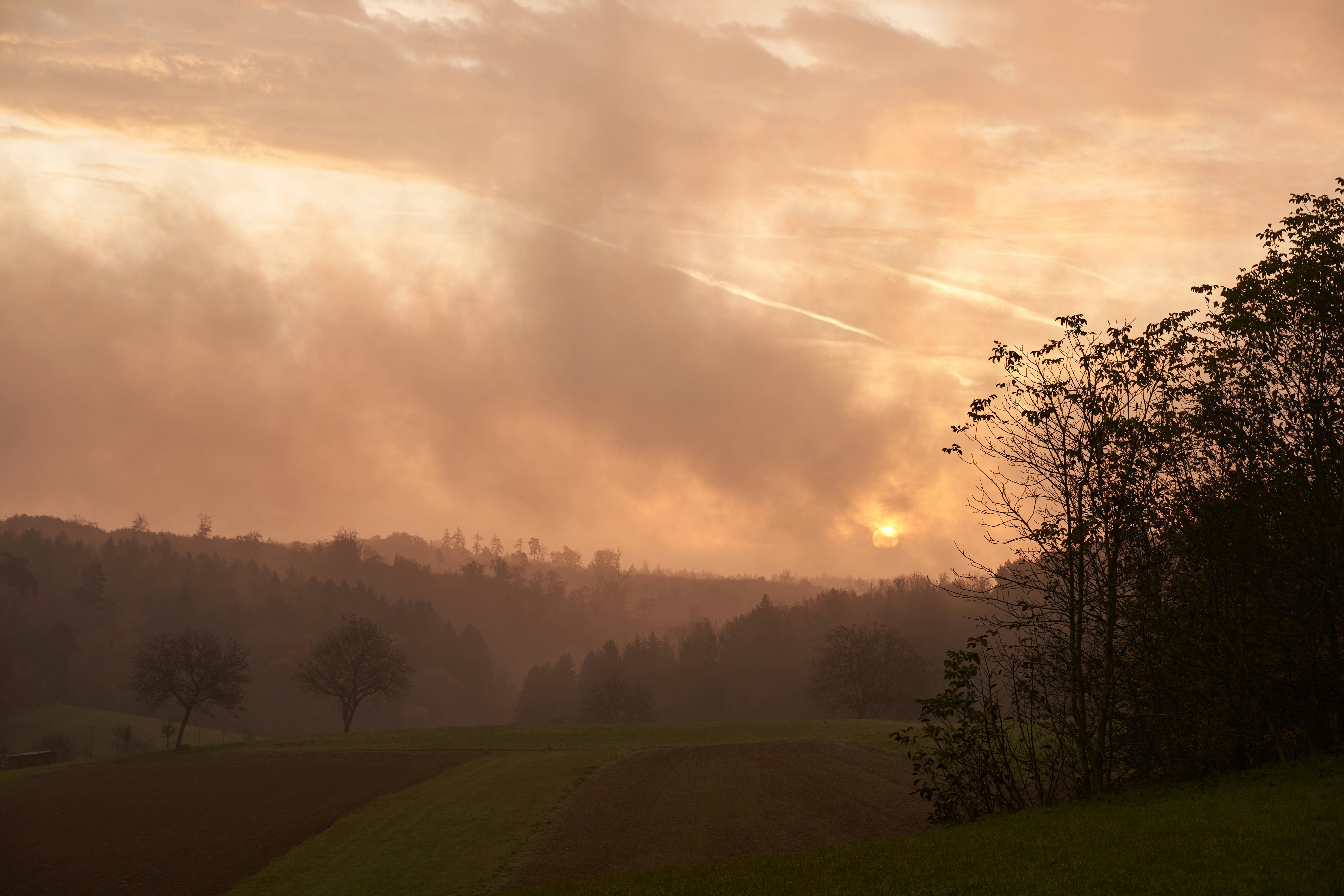 Photo by wolfgang_hasselmann