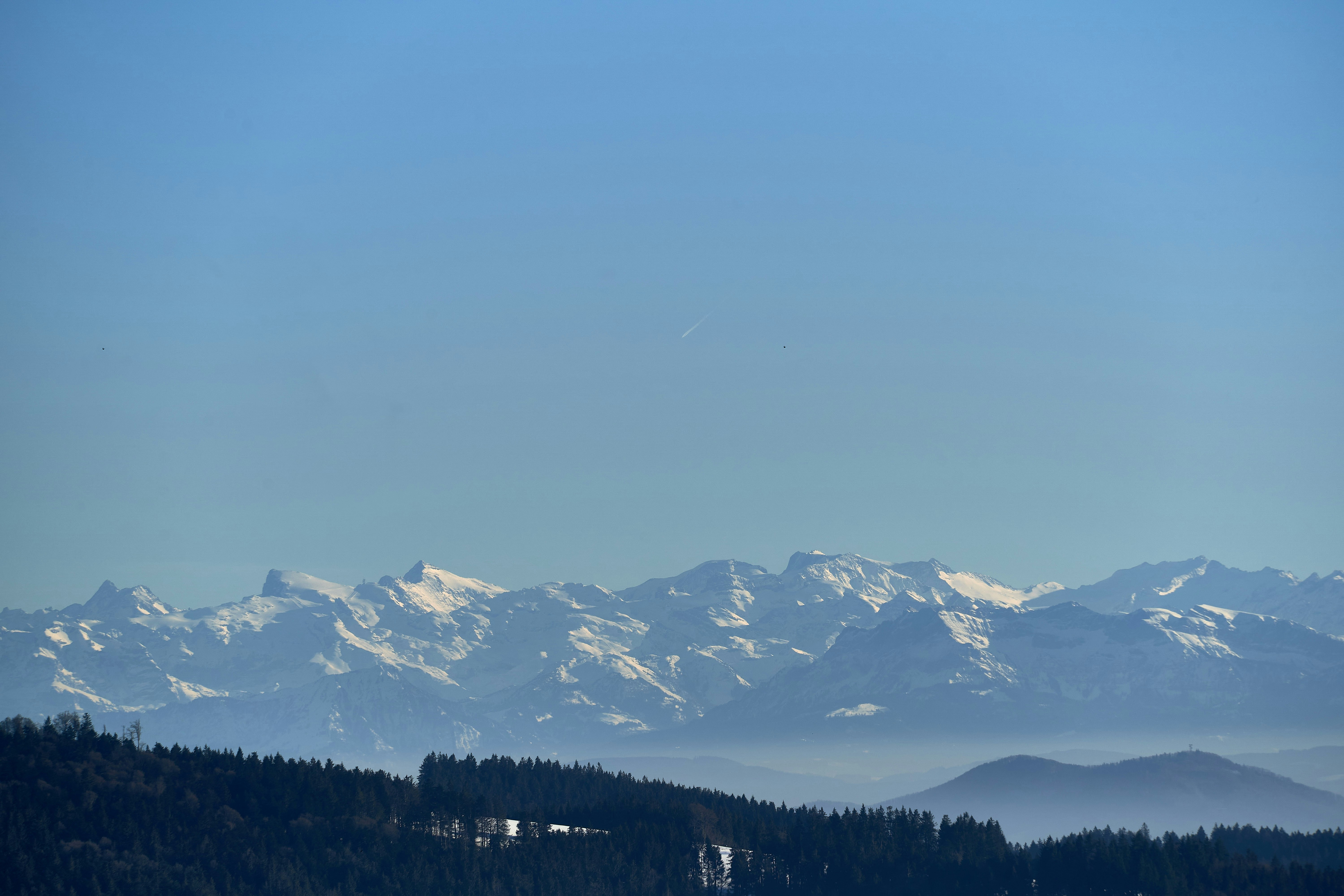 Photo by wolfgang_hasselmann