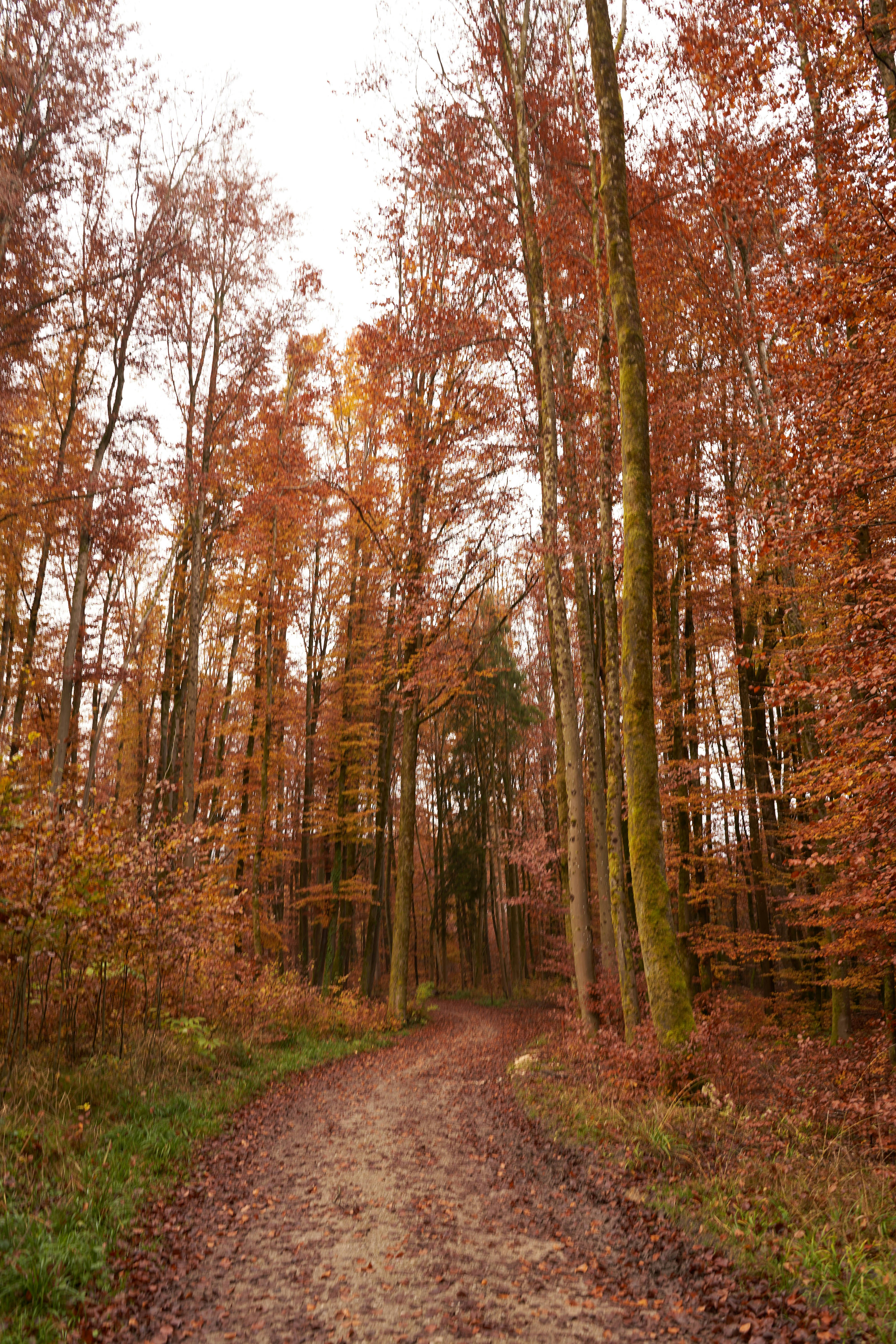 Photo by wolfgang_hasselmann