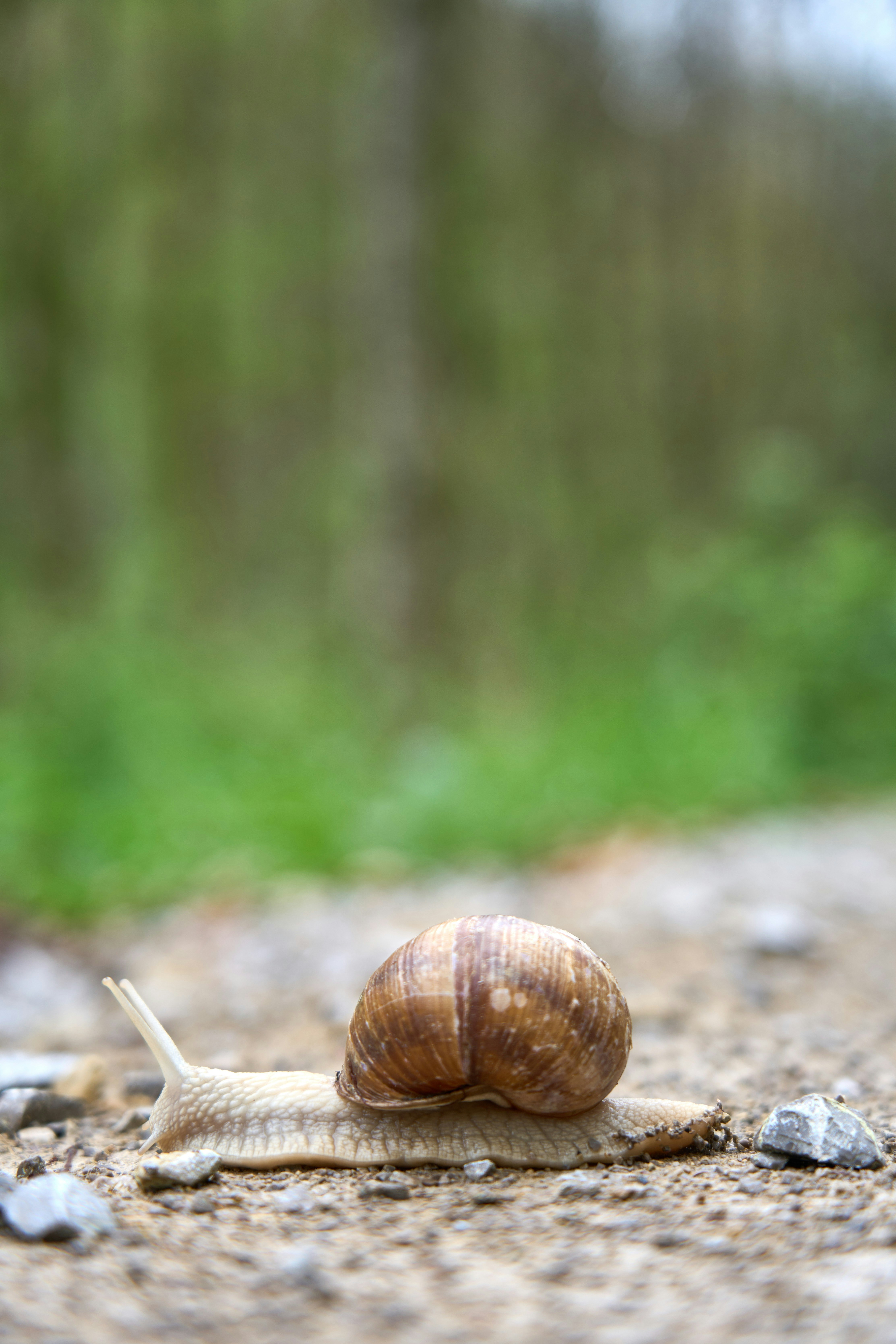 Photo by wolfgang_hasselmann