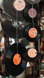 Vinyl records of various sizes are hanging vertically, each suspended by a thin string. The records have labels in the center with different colors and text, mainly orange and black. They appear to be displayed artistically in an indoor setting with a blurred background.