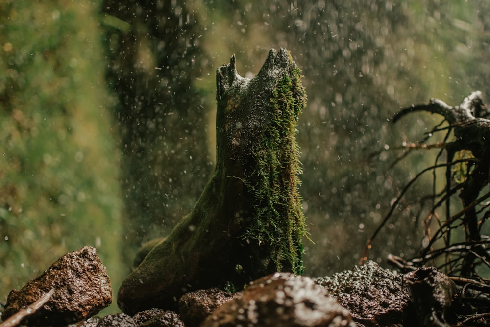 a moss covered statue sitting on top of a pile of rocks