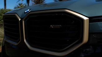 The image features a close-up of a car grille with a distinctive design, showcasing an emblem. The surrounding area has a glossy metallic finish with a gold outline. Trees and sky are faintly visible in the reflections.