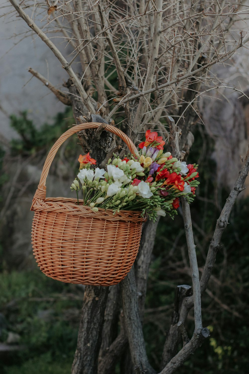 a basket of flowers hanging from a tree