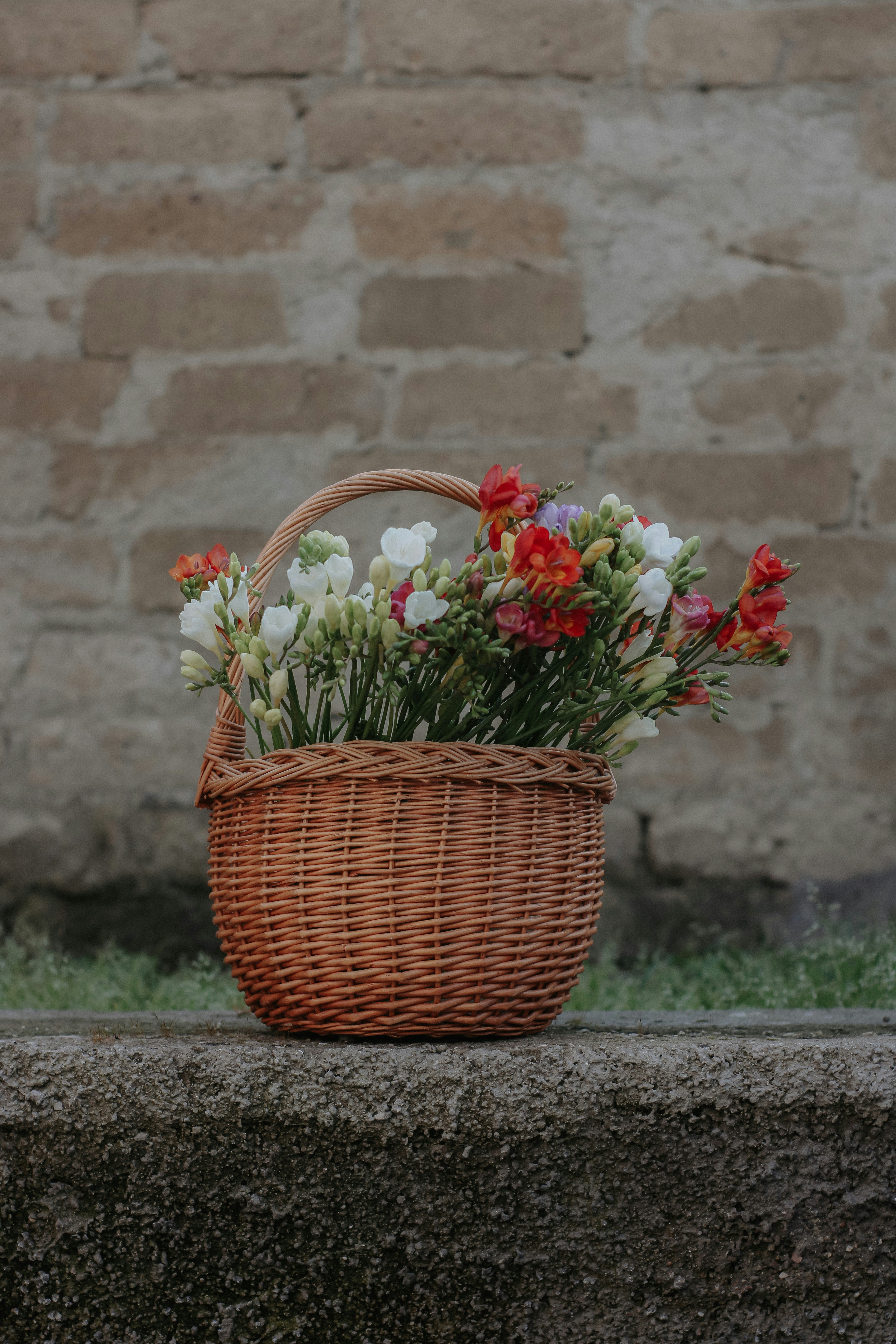 a basket of flowers sitting on a ledge