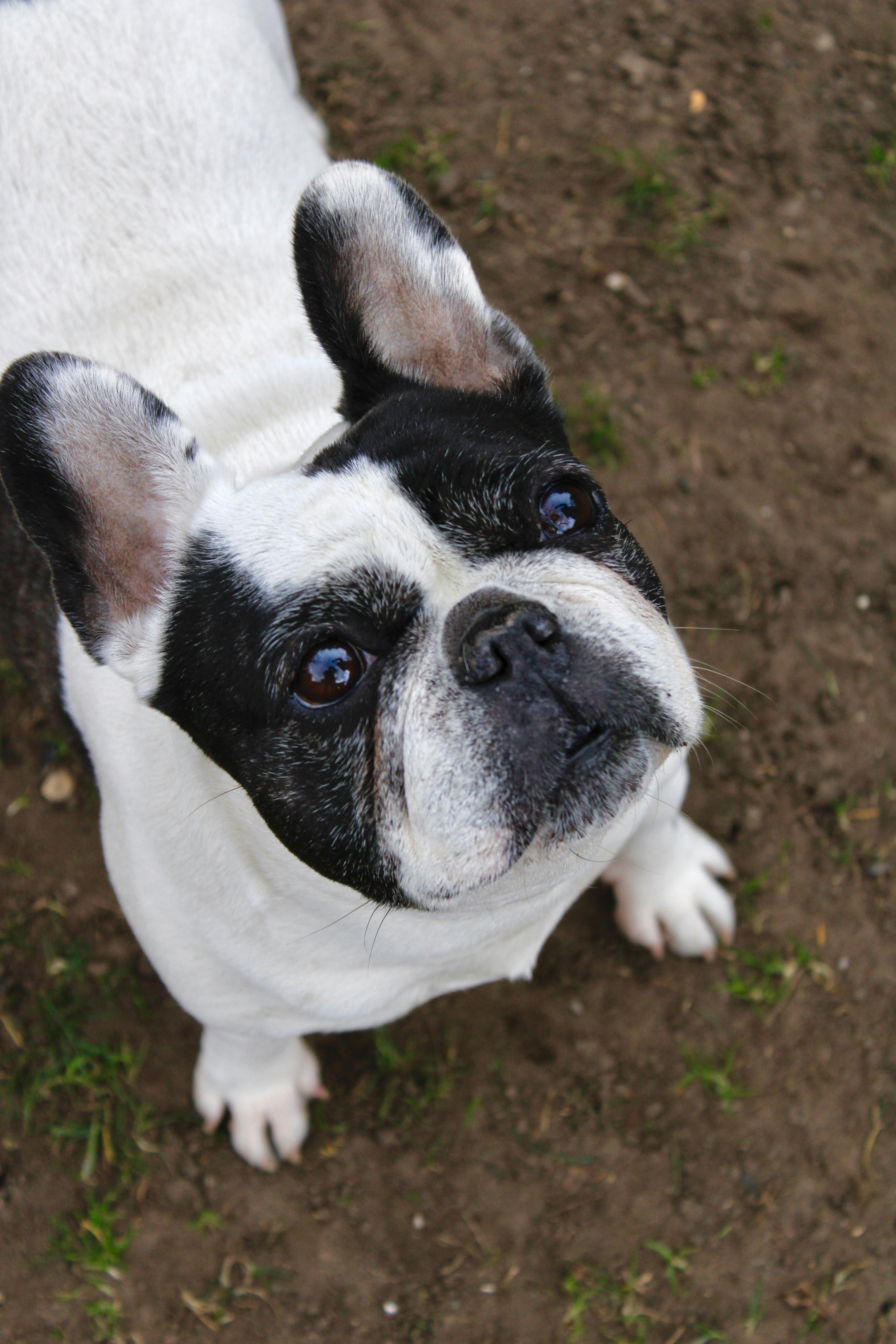 Photo by albertdavid6