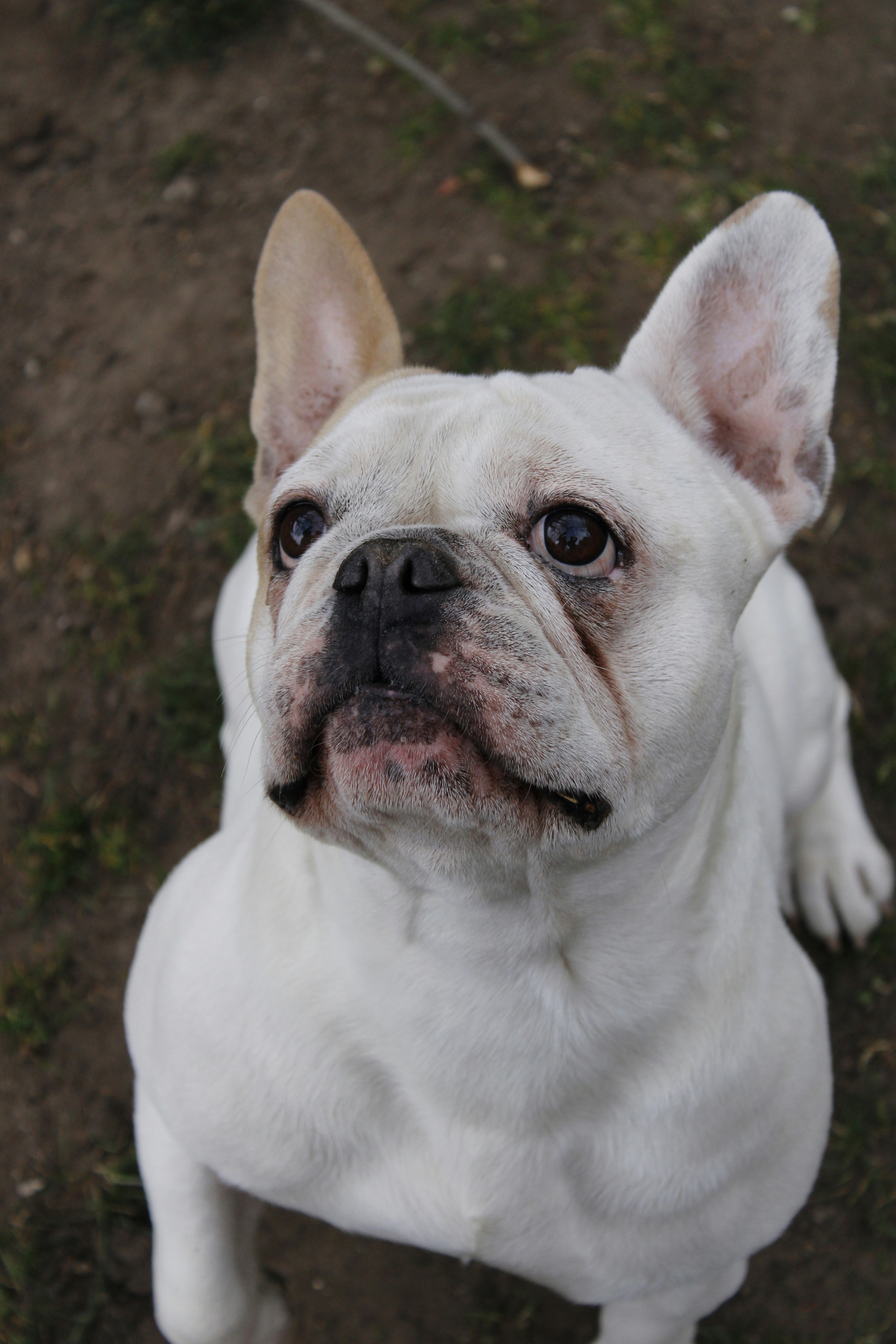 Photo by albertdavid6