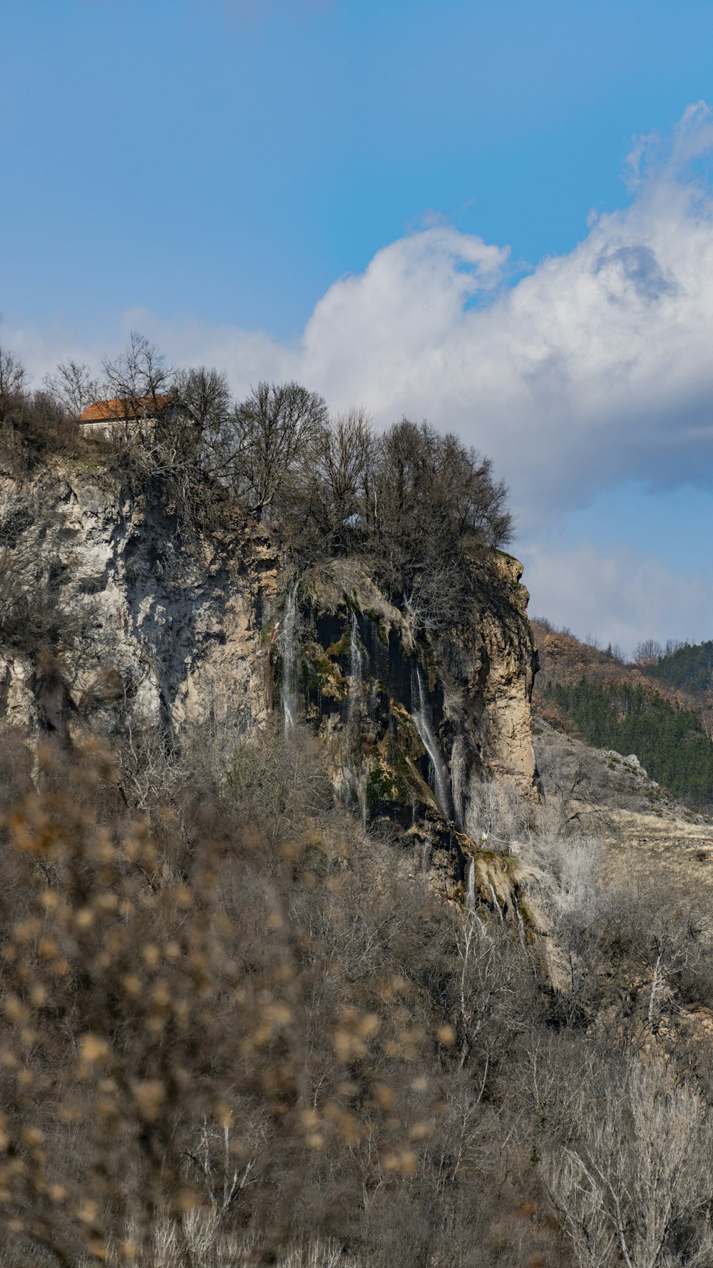 una montagna con alberi e una scogliera sullo sfondo