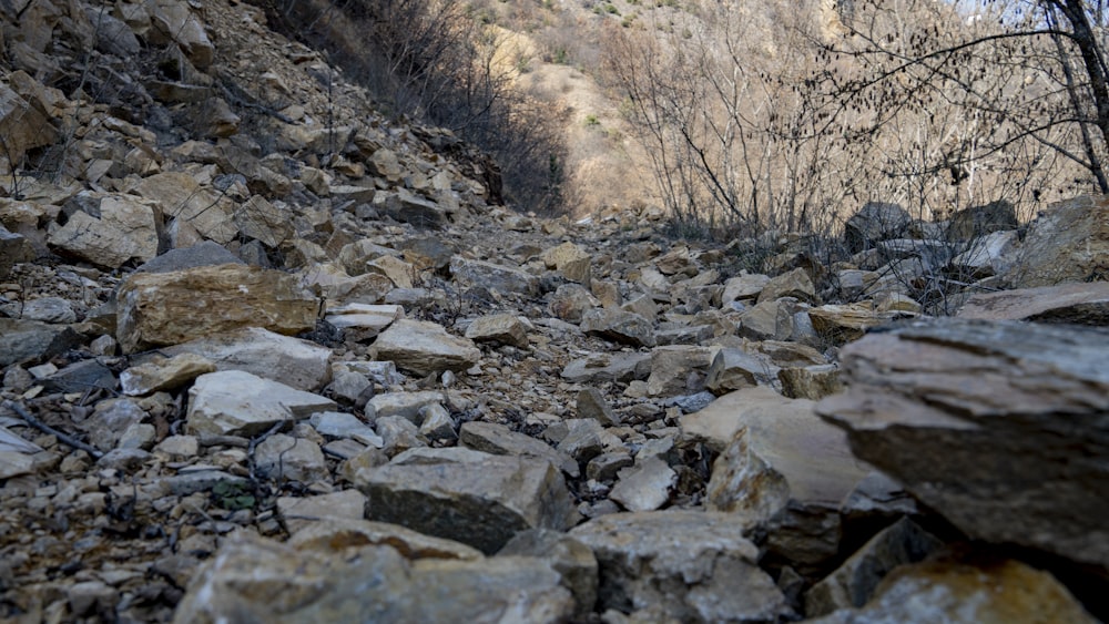 a rocky mountain with rocks and trees on the side