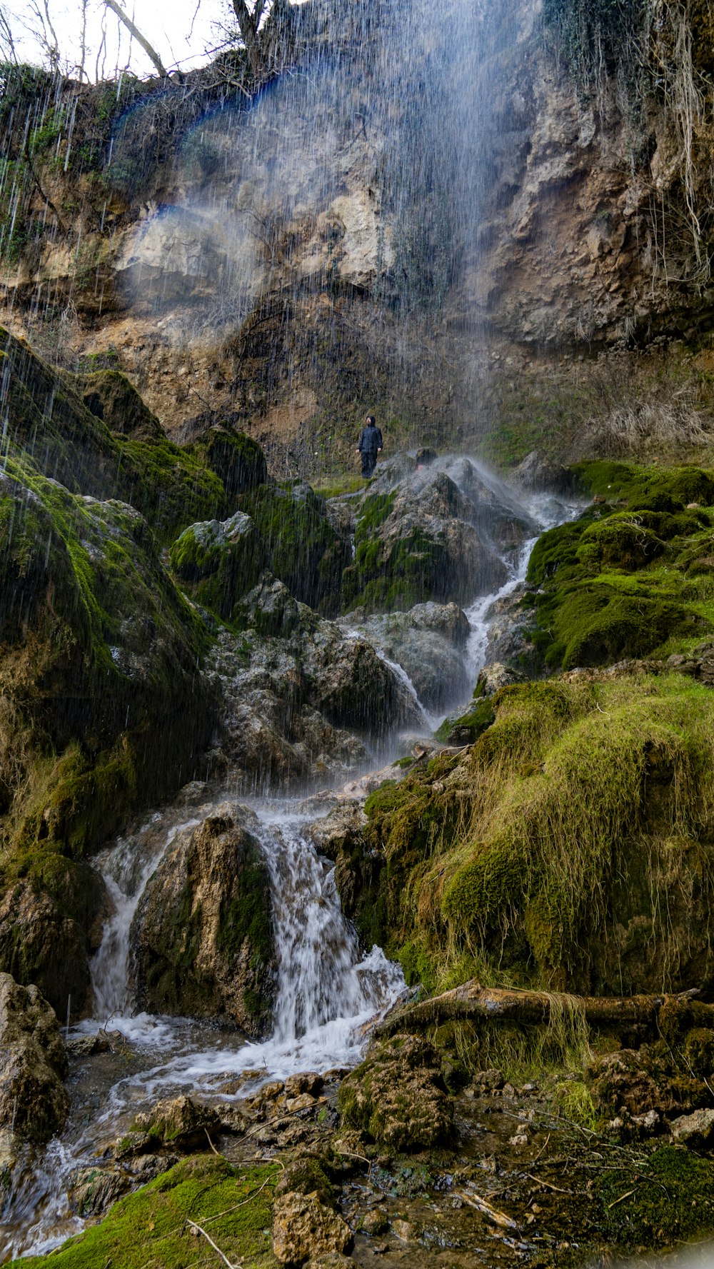 a stream of water running through a lush green forest