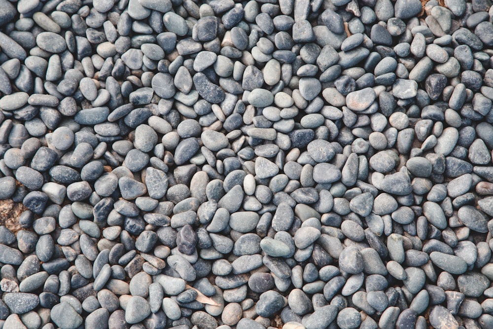 a close up of a bunch of rocks