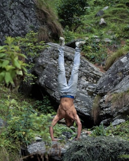Calisthenics at SHanky Fitness