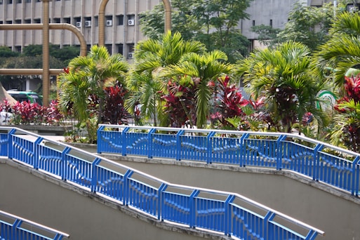 a group of blue benches sitting next to a lush green park