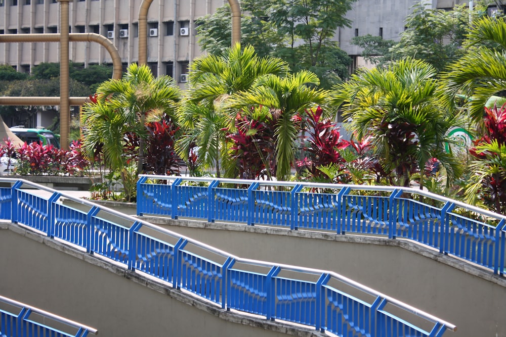 a group of blue benches sitting next to a lush green park