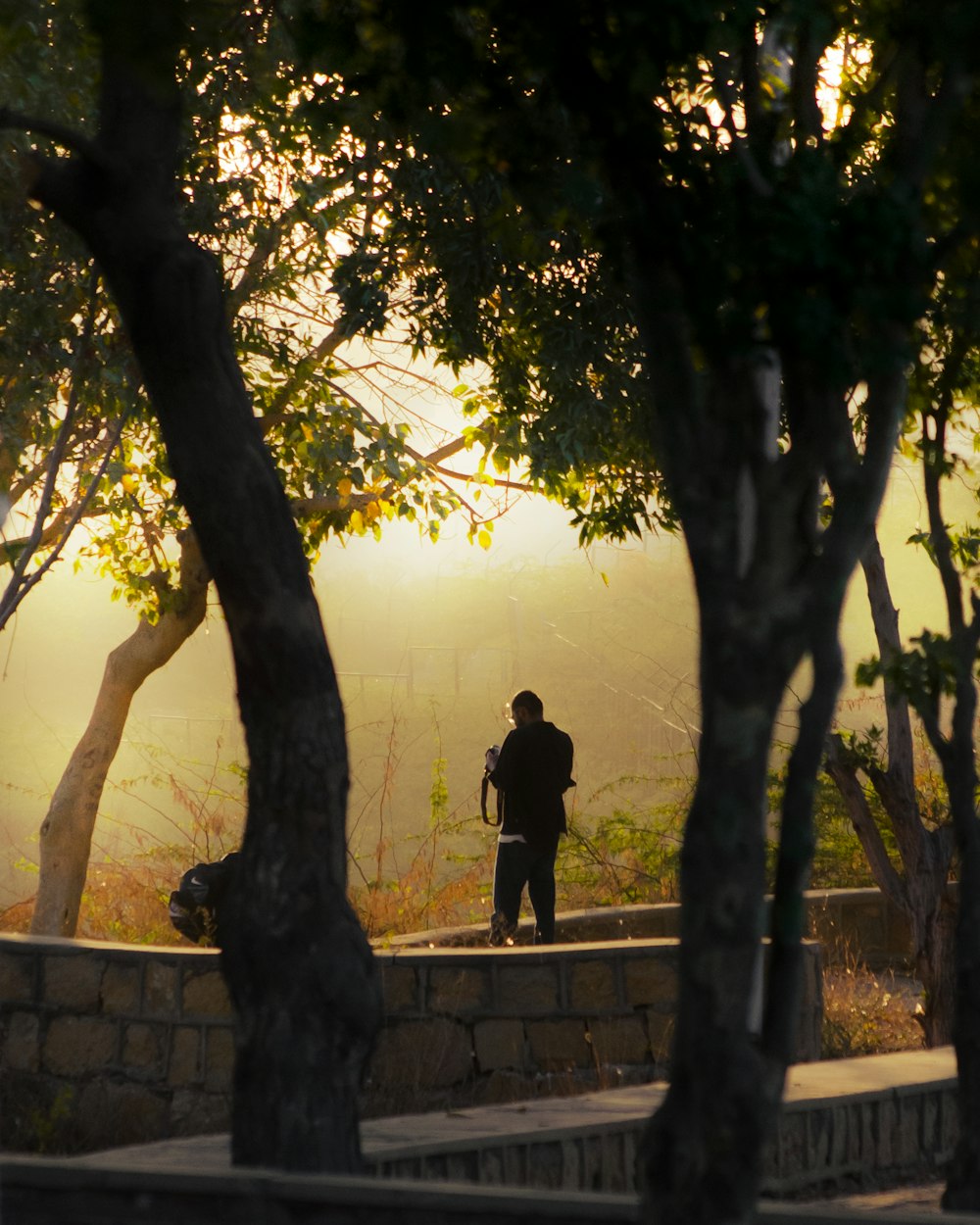 a man standing on a stone wall next to trees