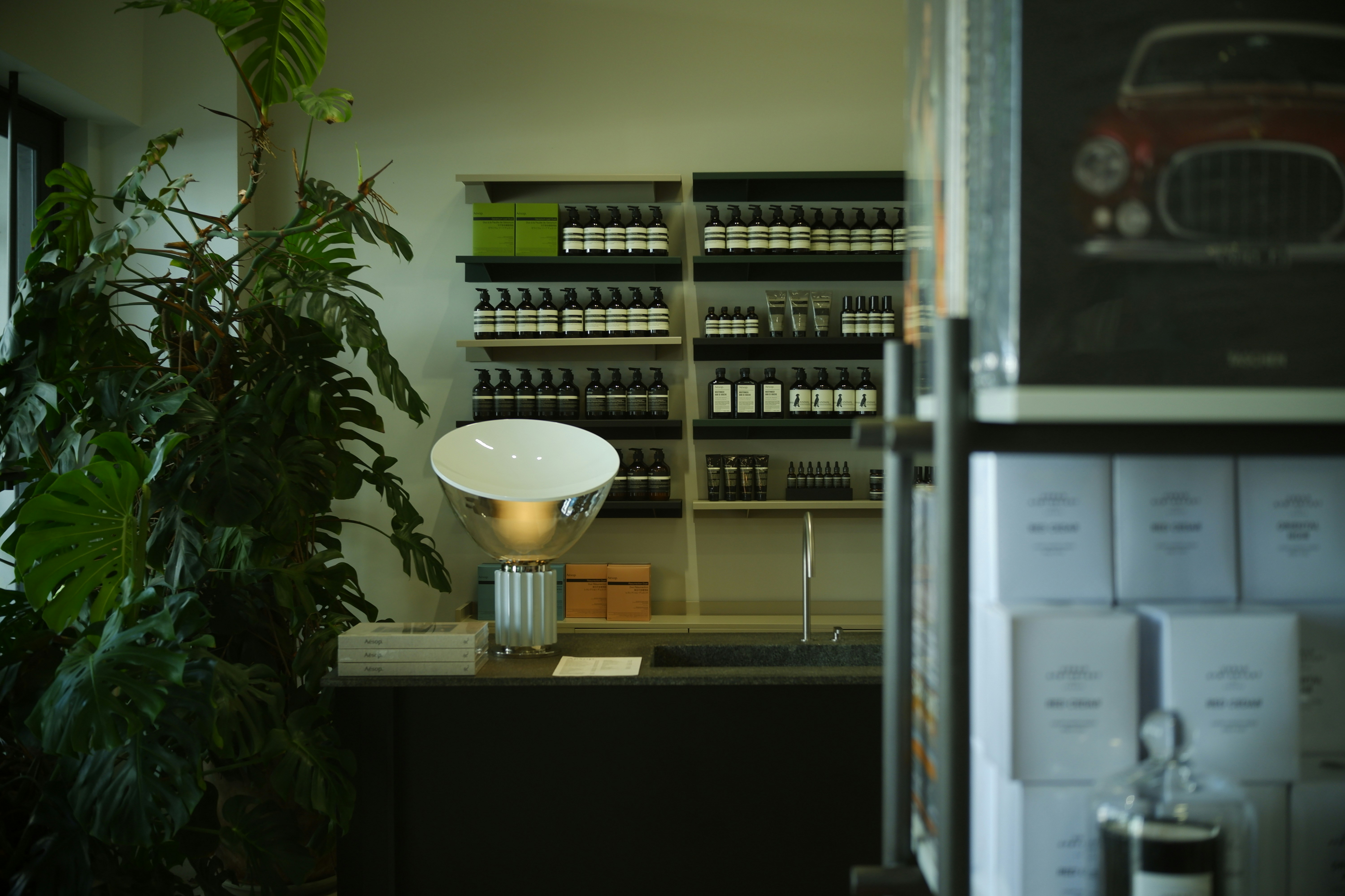 Room filled with wine bottles