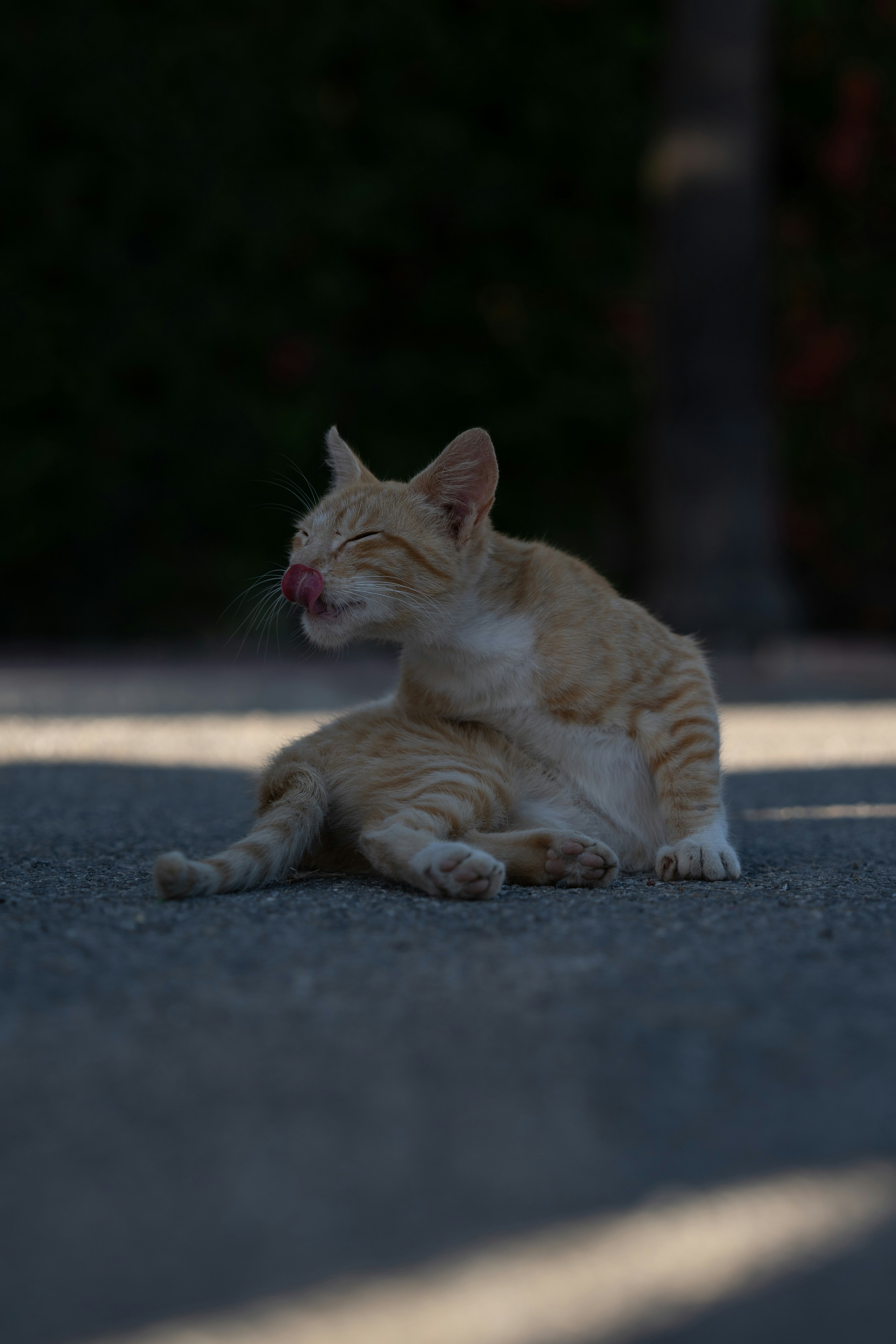 Photo by theemanofoth