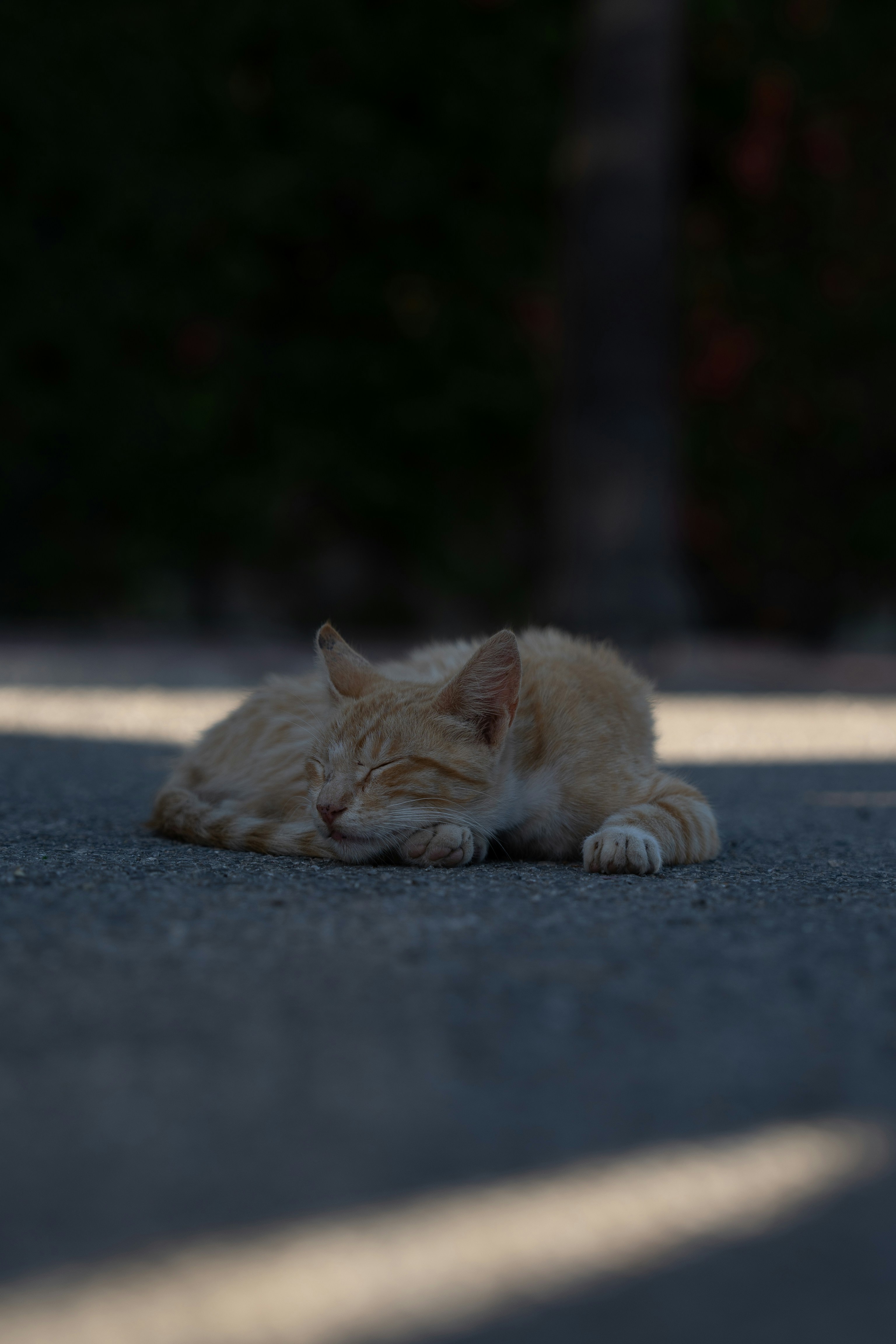 Photo by theemanofoth