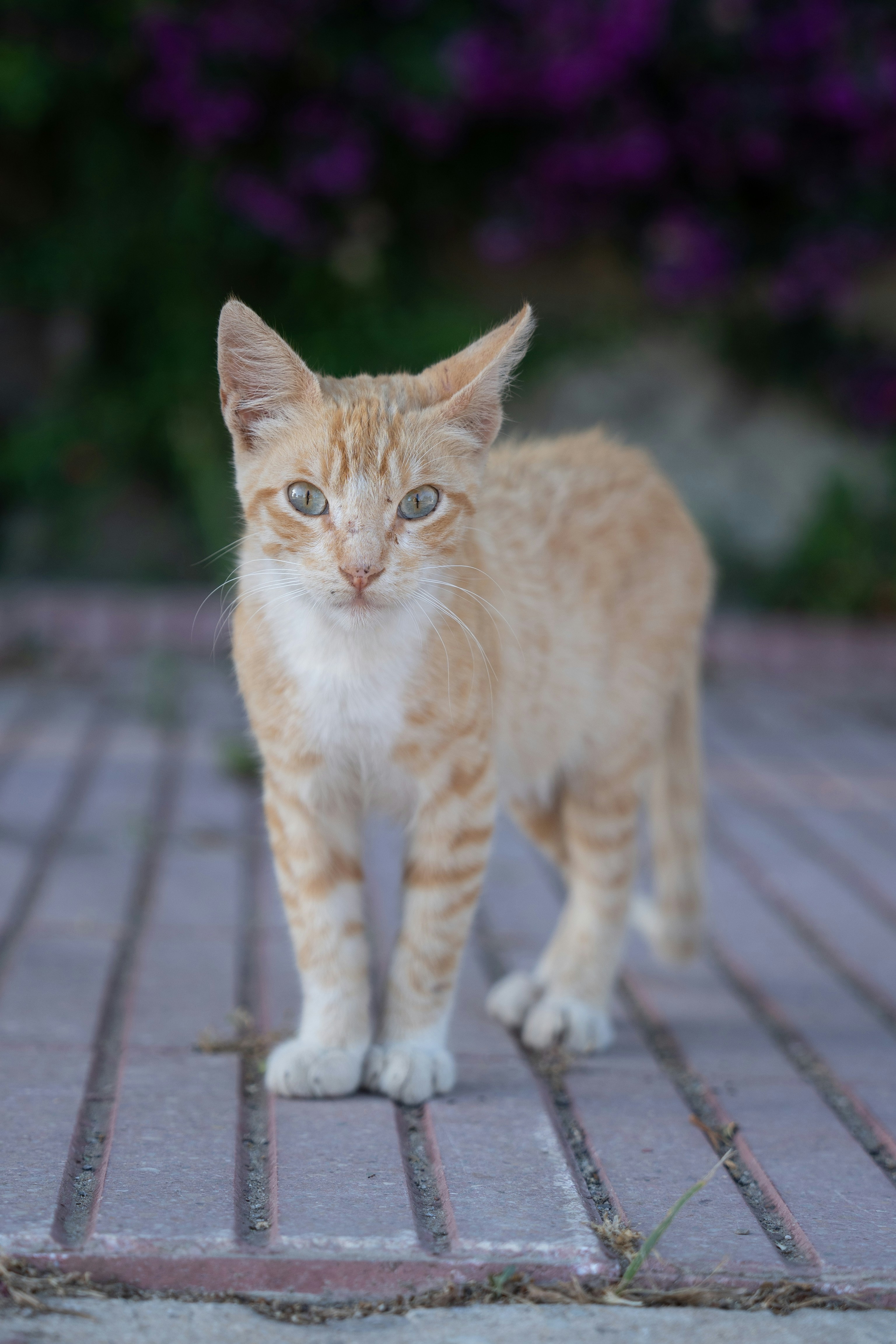 Photo by theemanofoth