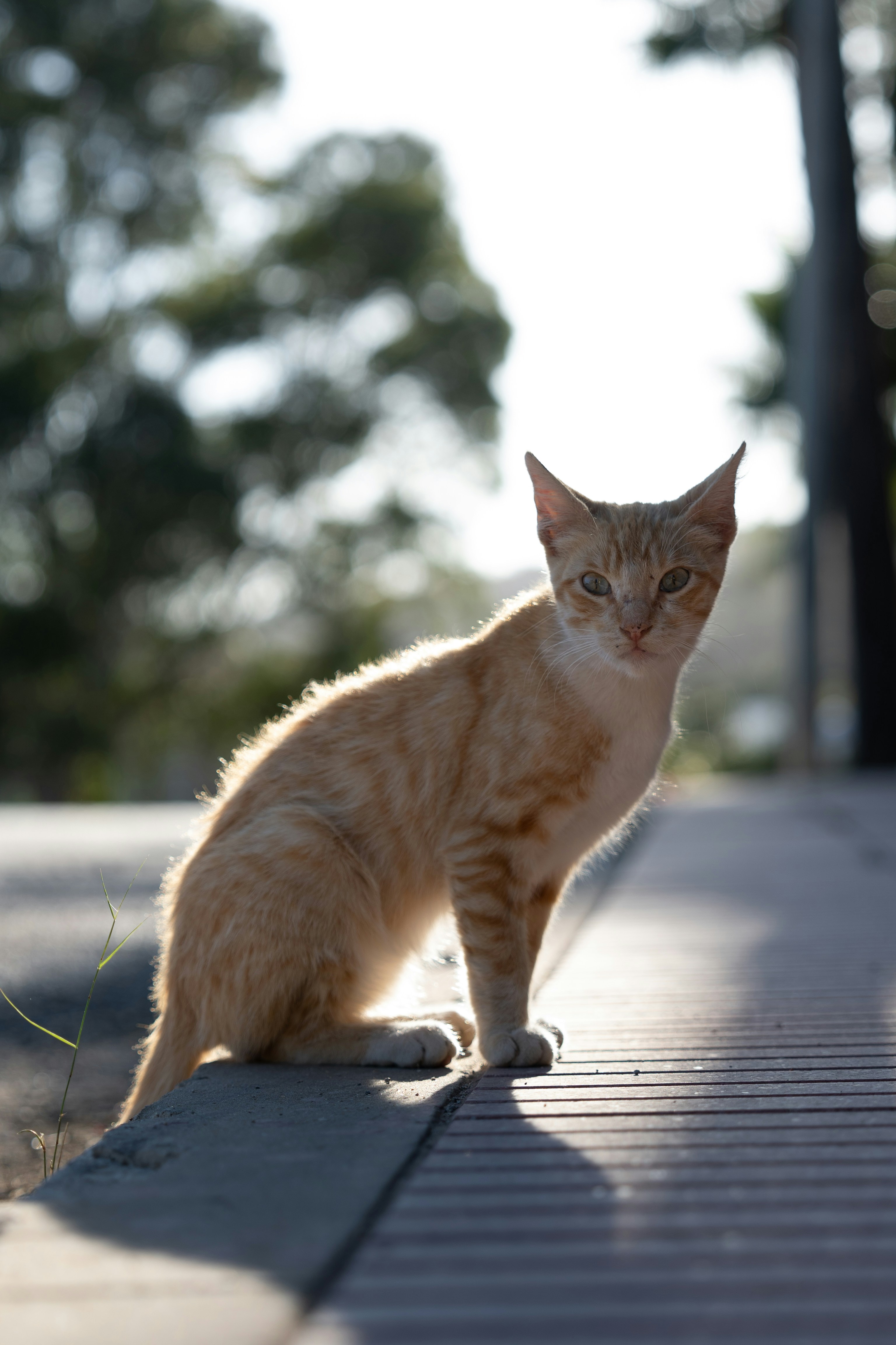 Photo by theemanofoth