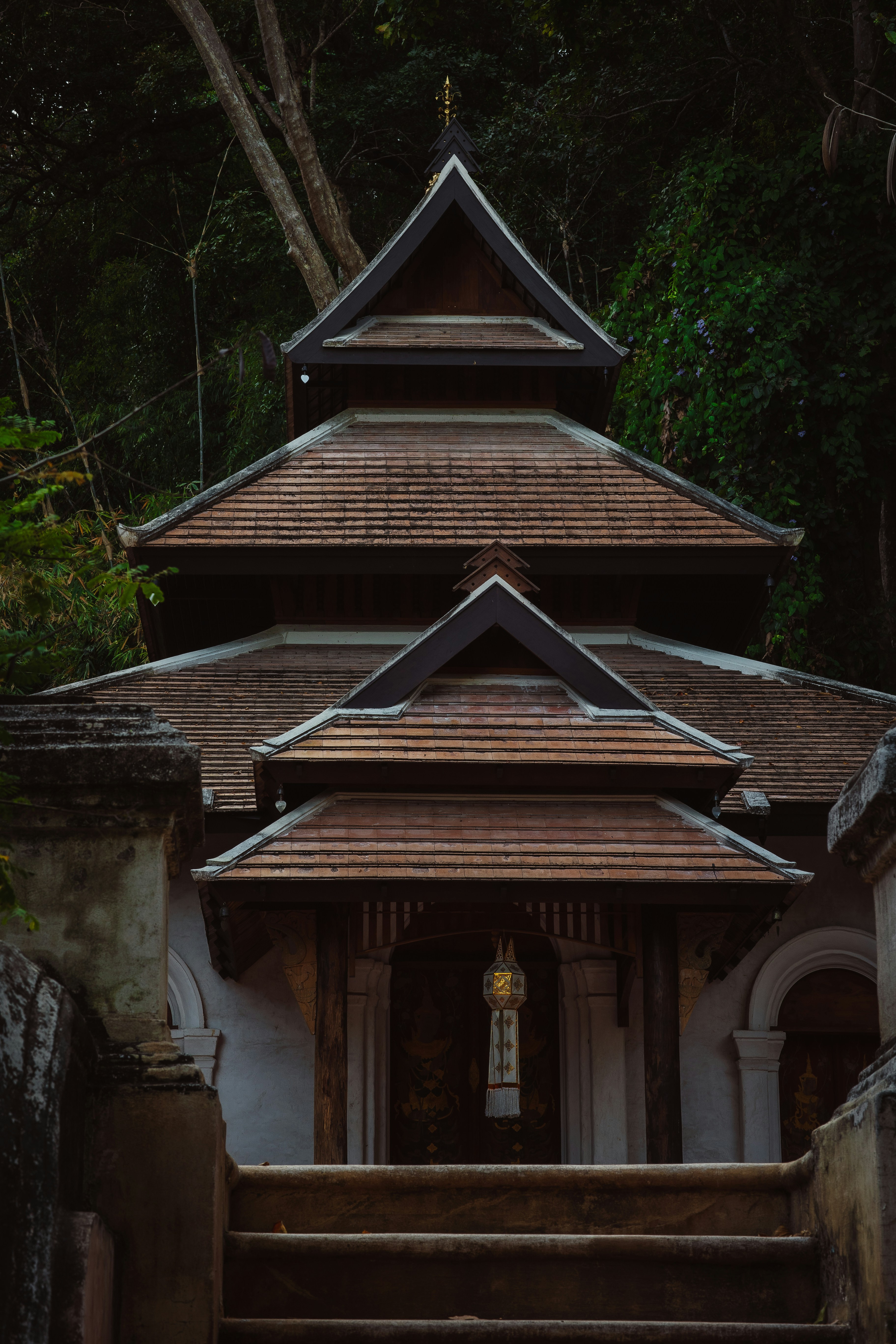 Photo by dfyngrvty