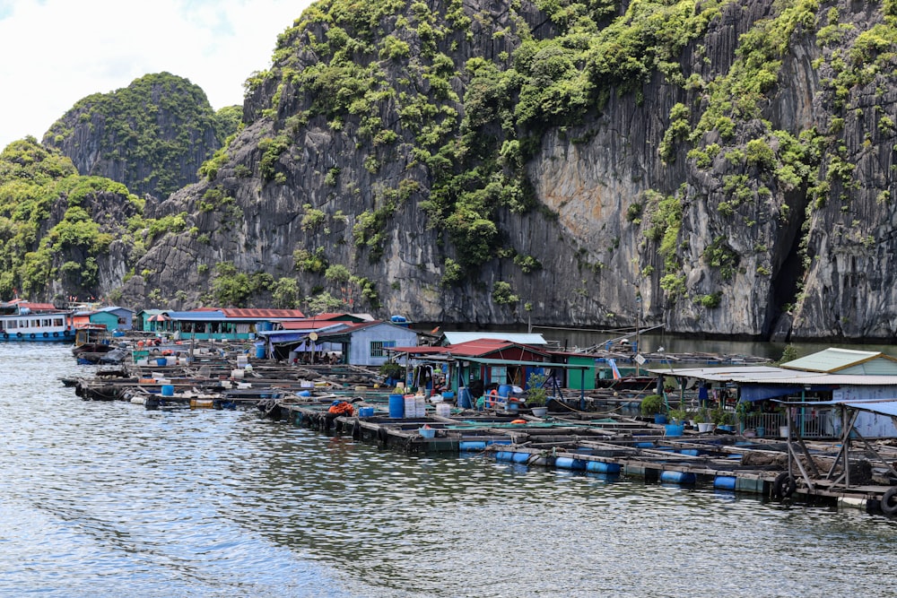 a body of water filled with lots of boats