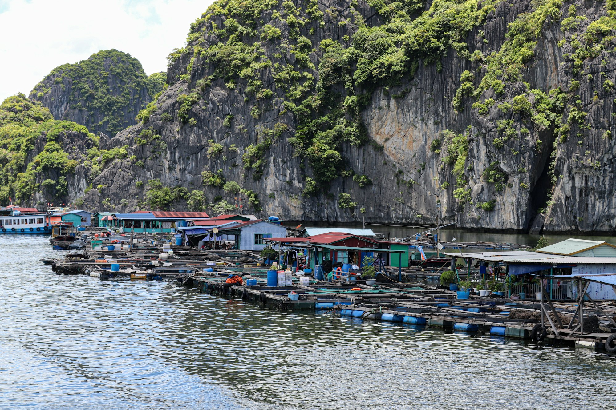 How To: Cat Ba Island Ferry from Ha Long Bay