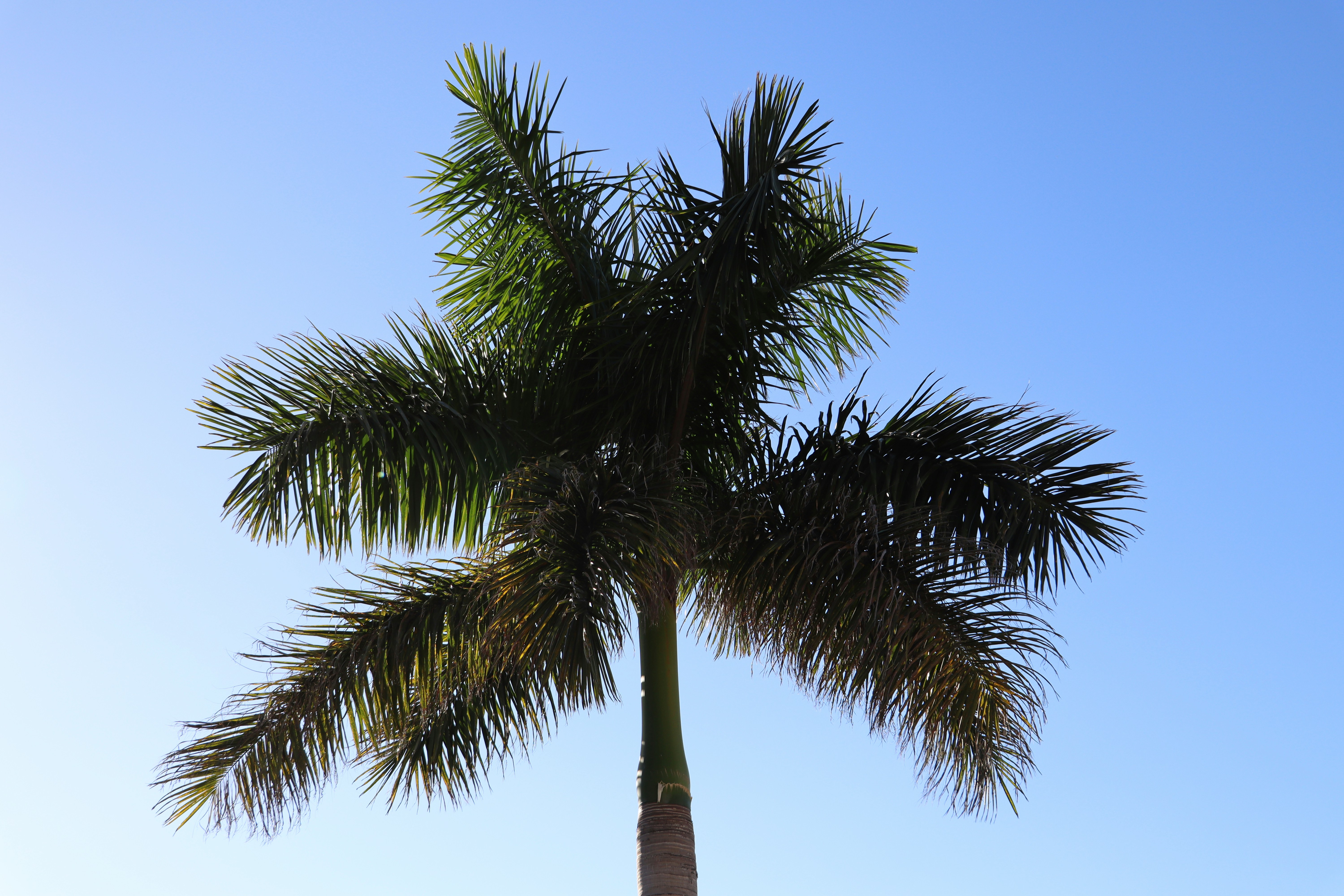 Photo by rosebudmedia