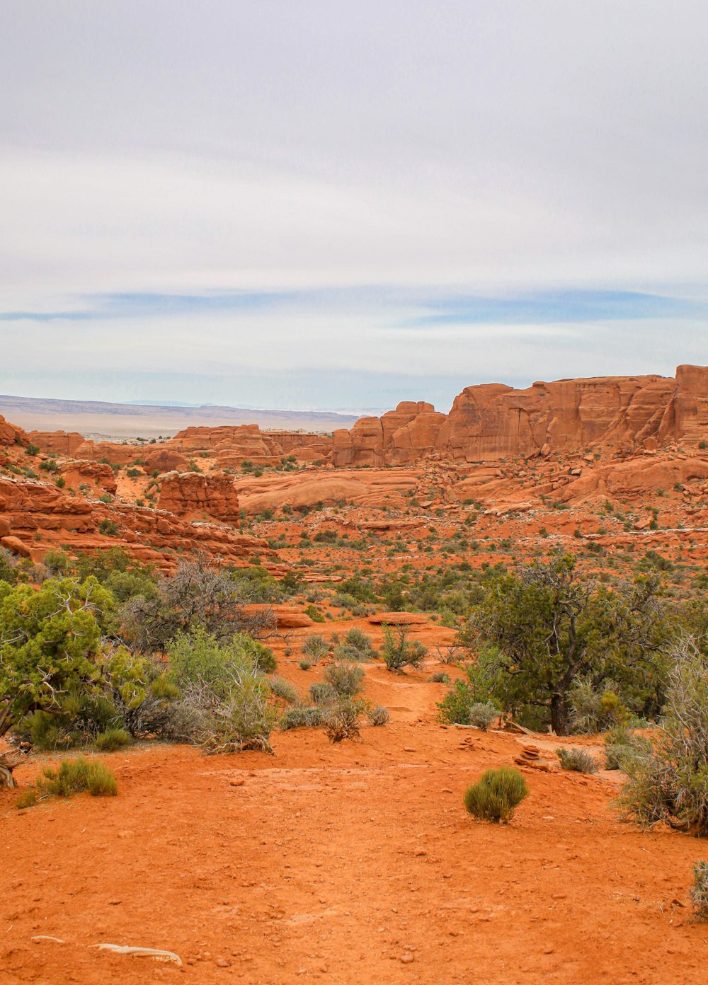 Un chemin de terre au milieu d’un désert