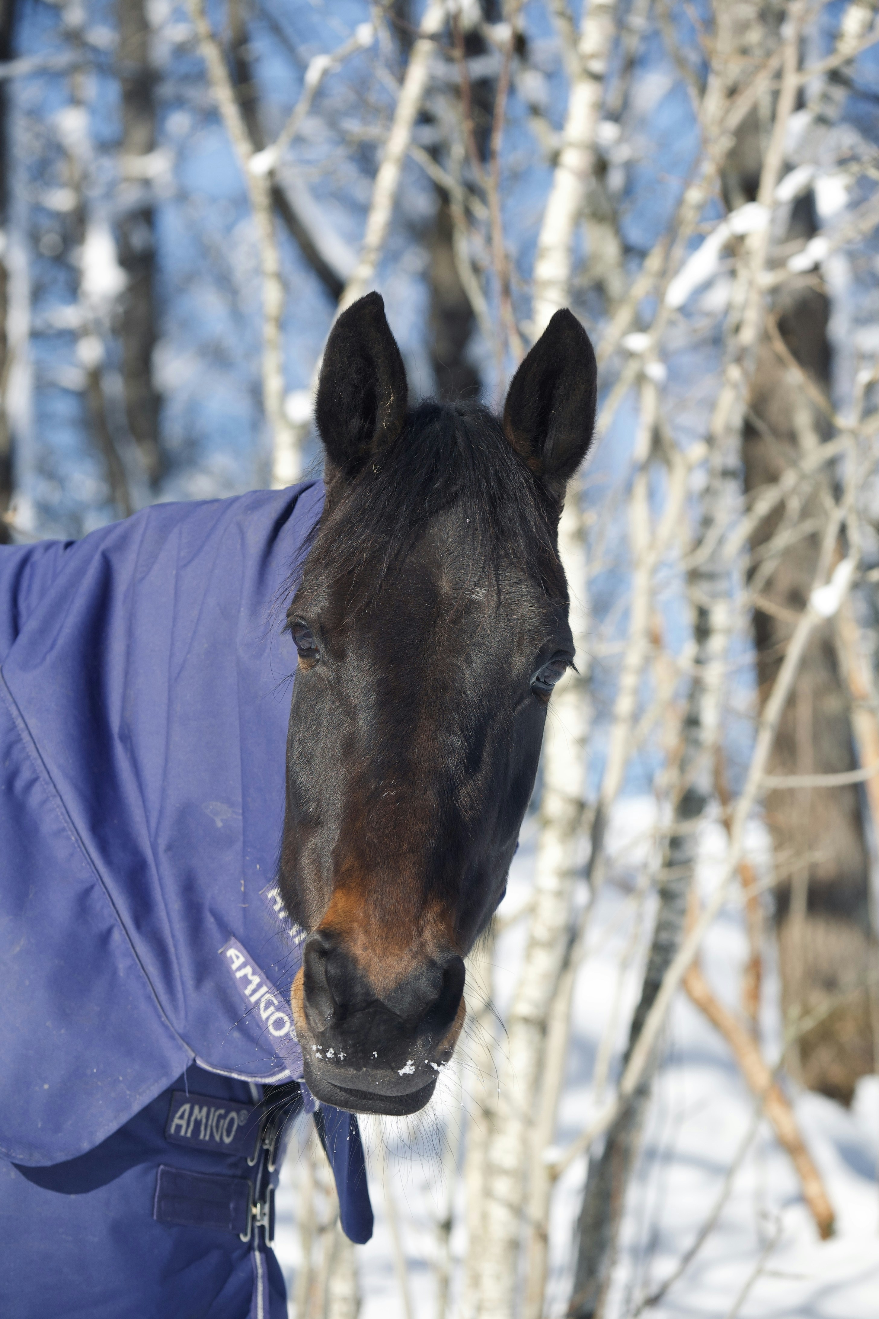 Photo by kristinokarlsen