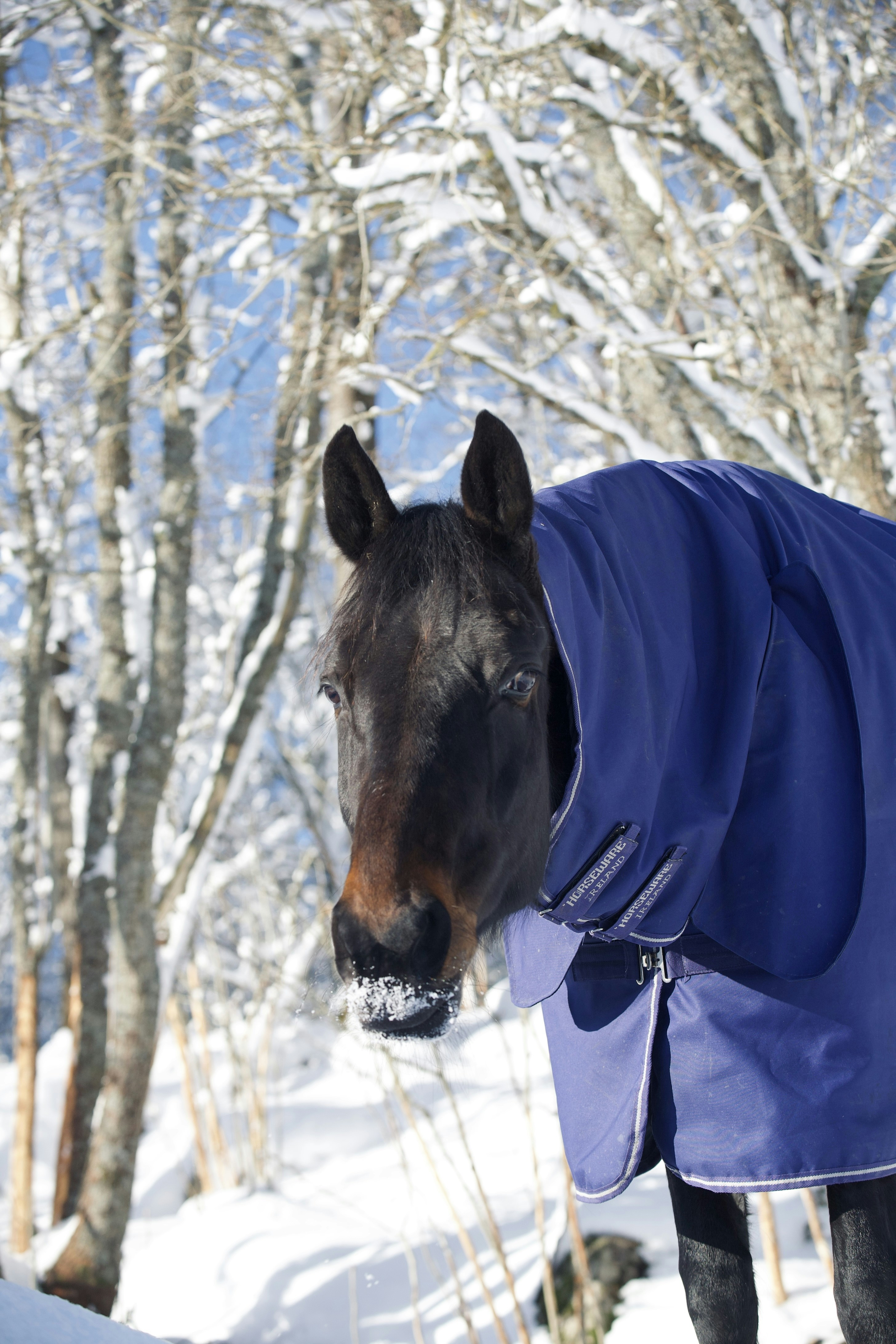 Photo by kristinokarlsen