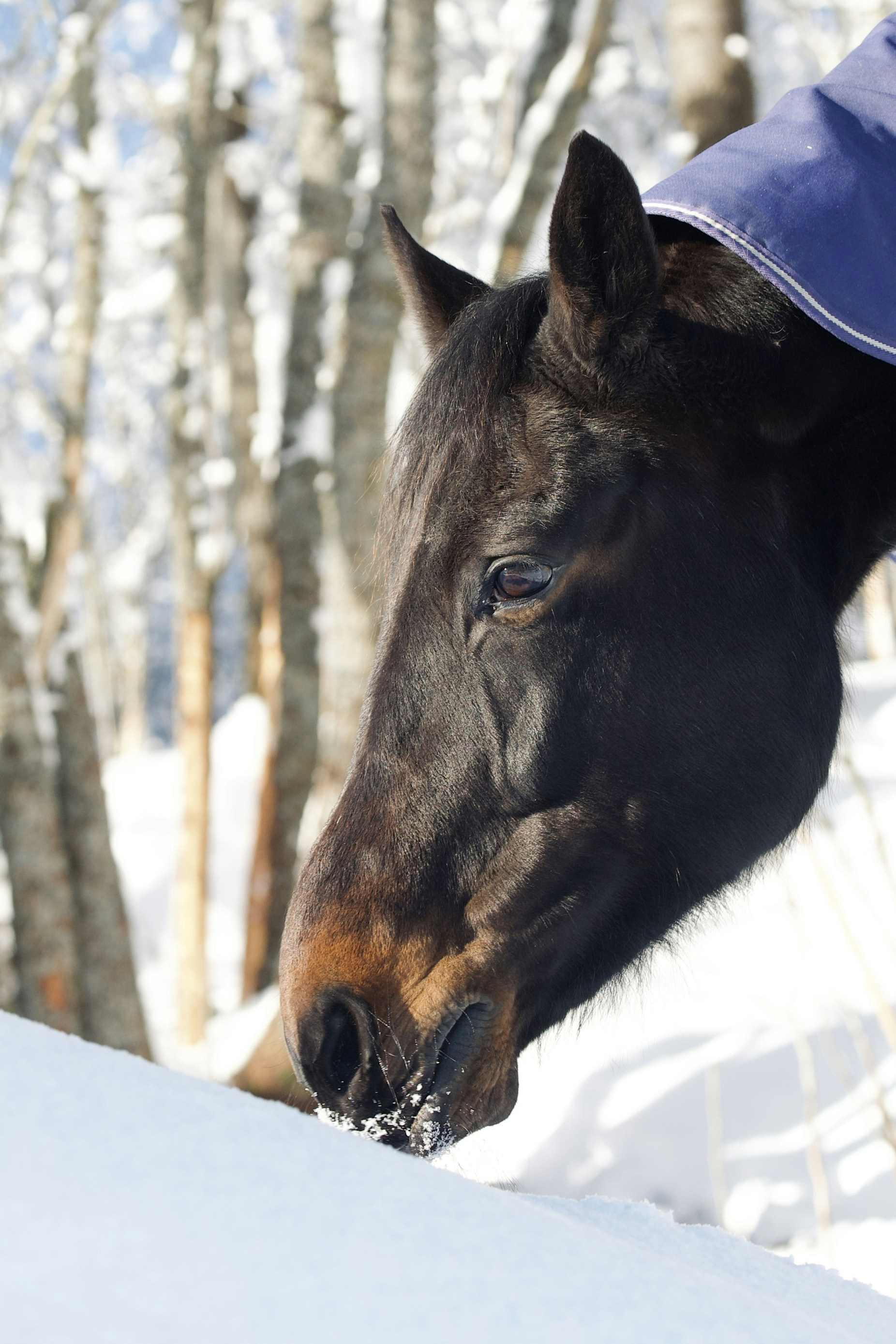 Photo by kristinokarlsen