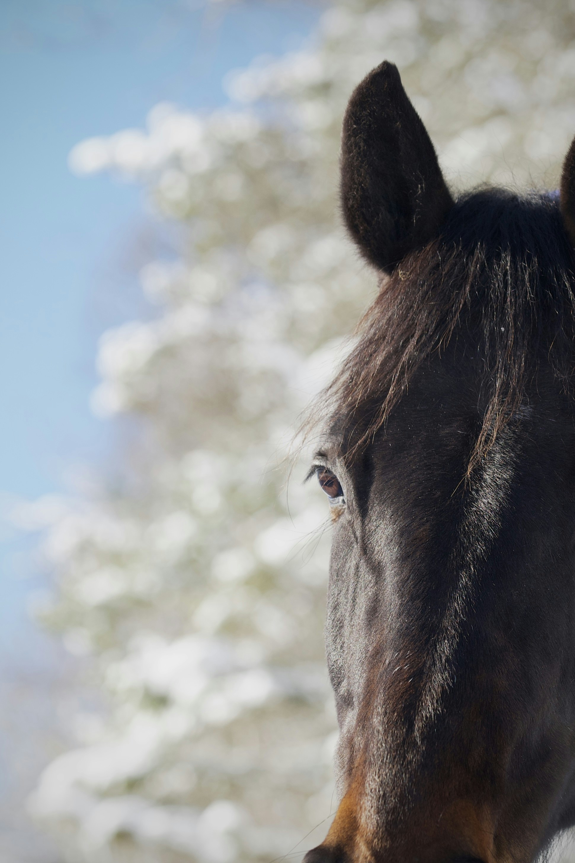 Photo by kristinokarlsen