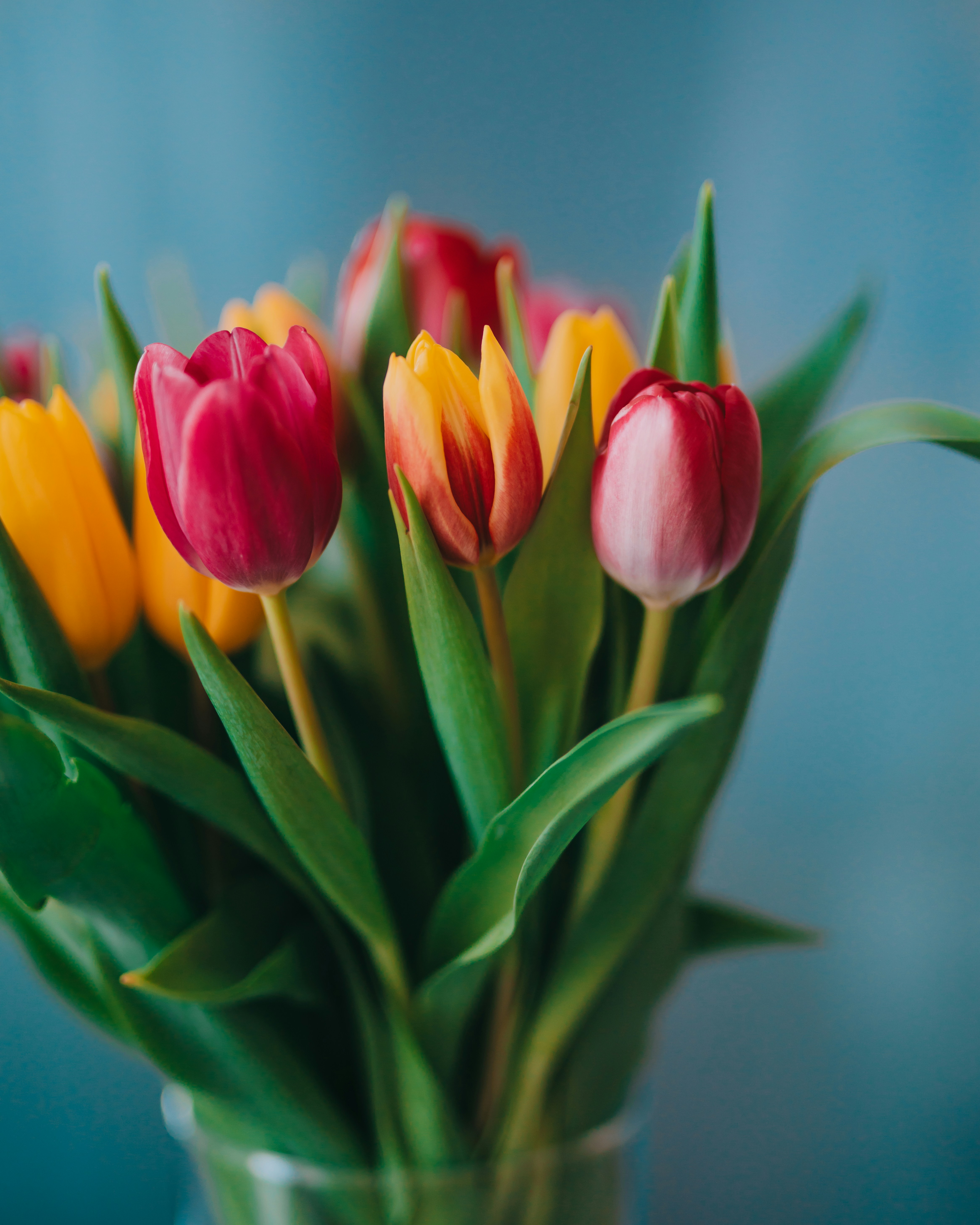 a bunch of tulips in a vase on a table