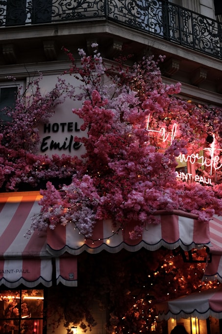a tree with pink flowers in front of a hotel