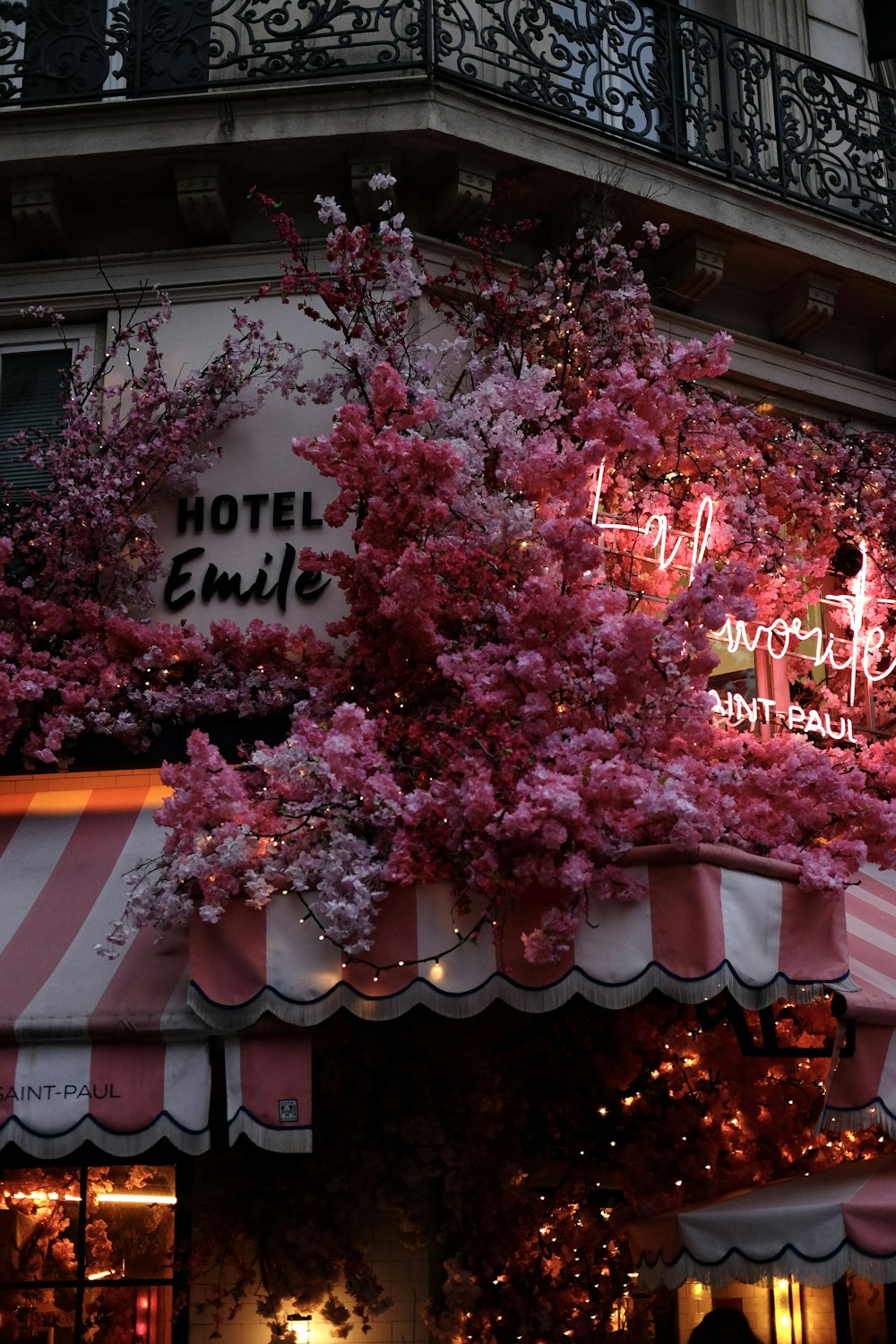 a tree with pink flowers in front of a hotel