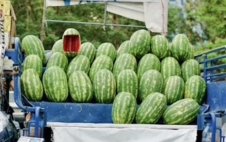 A blue vehicle loaded with numerous large watermelons, neatly stacked on top of each other. One watermelon is cut open, revealing its bright red interior. The background features green foliage, indicating an outdoor setting.