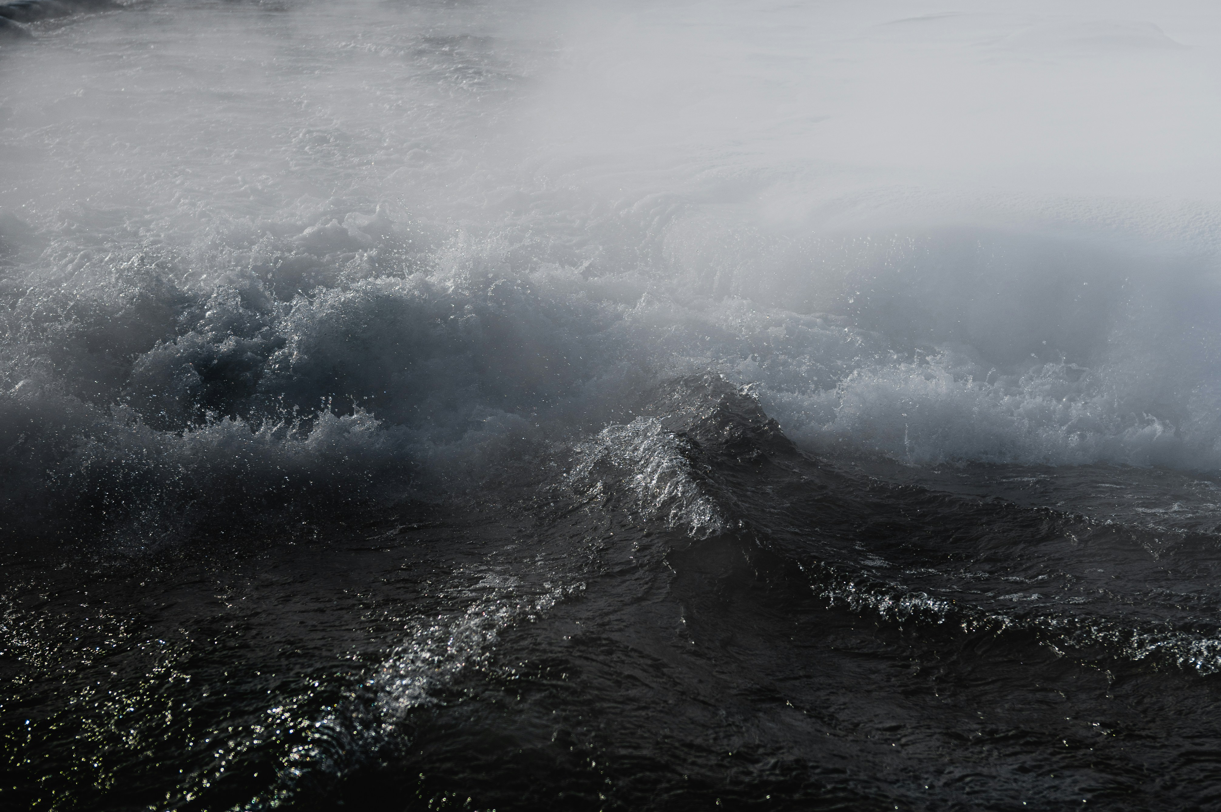 Photo by ryunosuke_kikuno