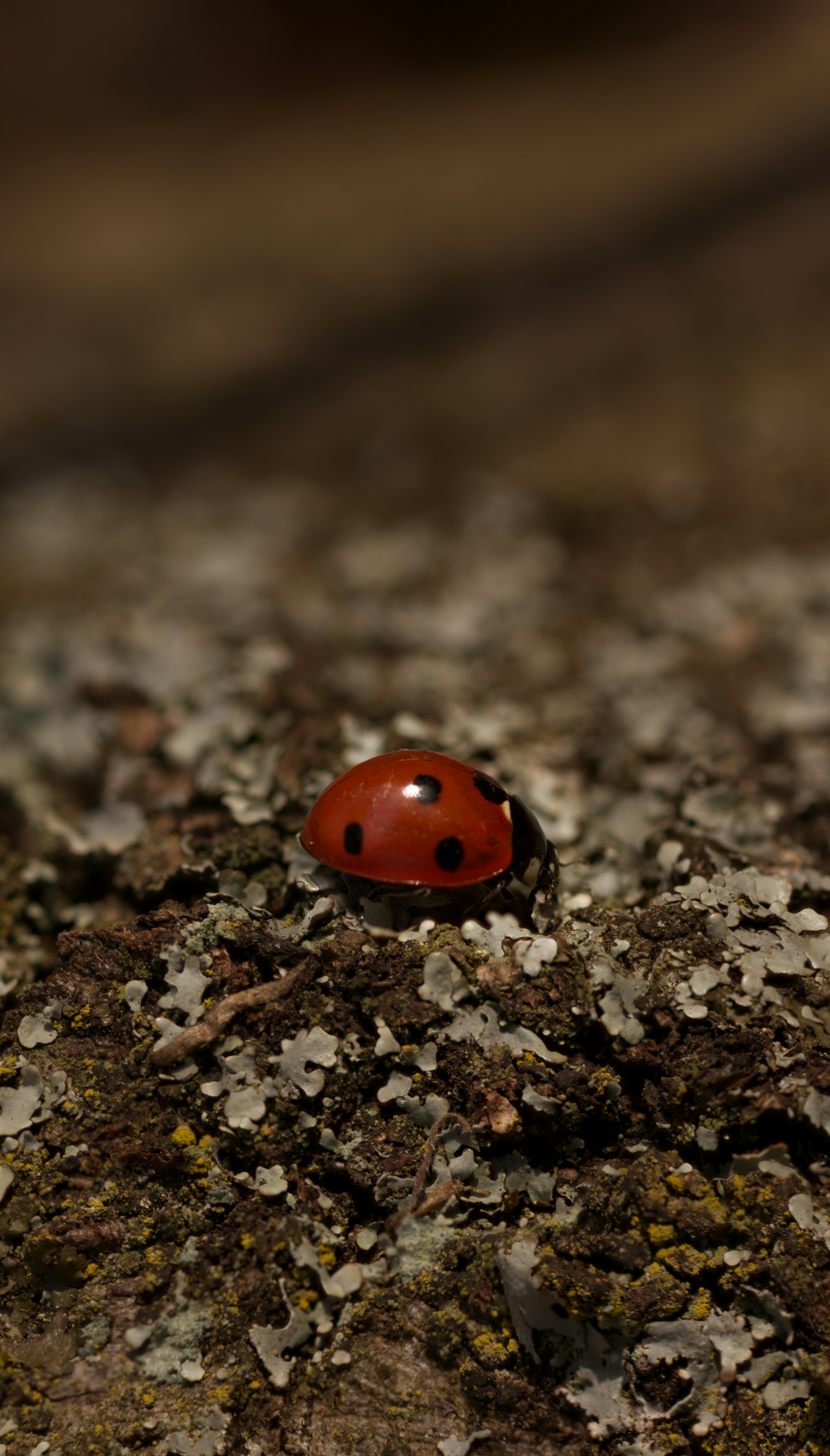 Photo by fidgetingferdie