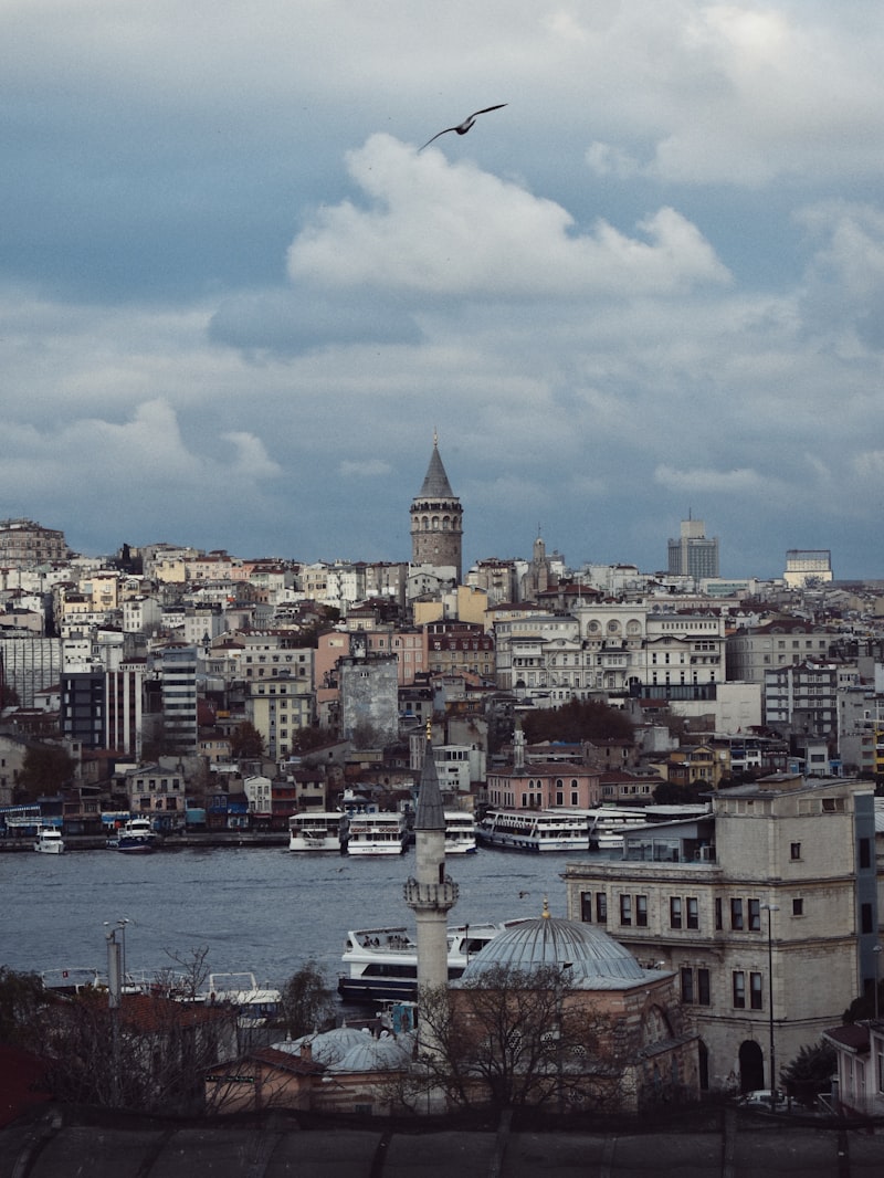 Istanbul Bogazici ve Galata Kulesi panoramasi