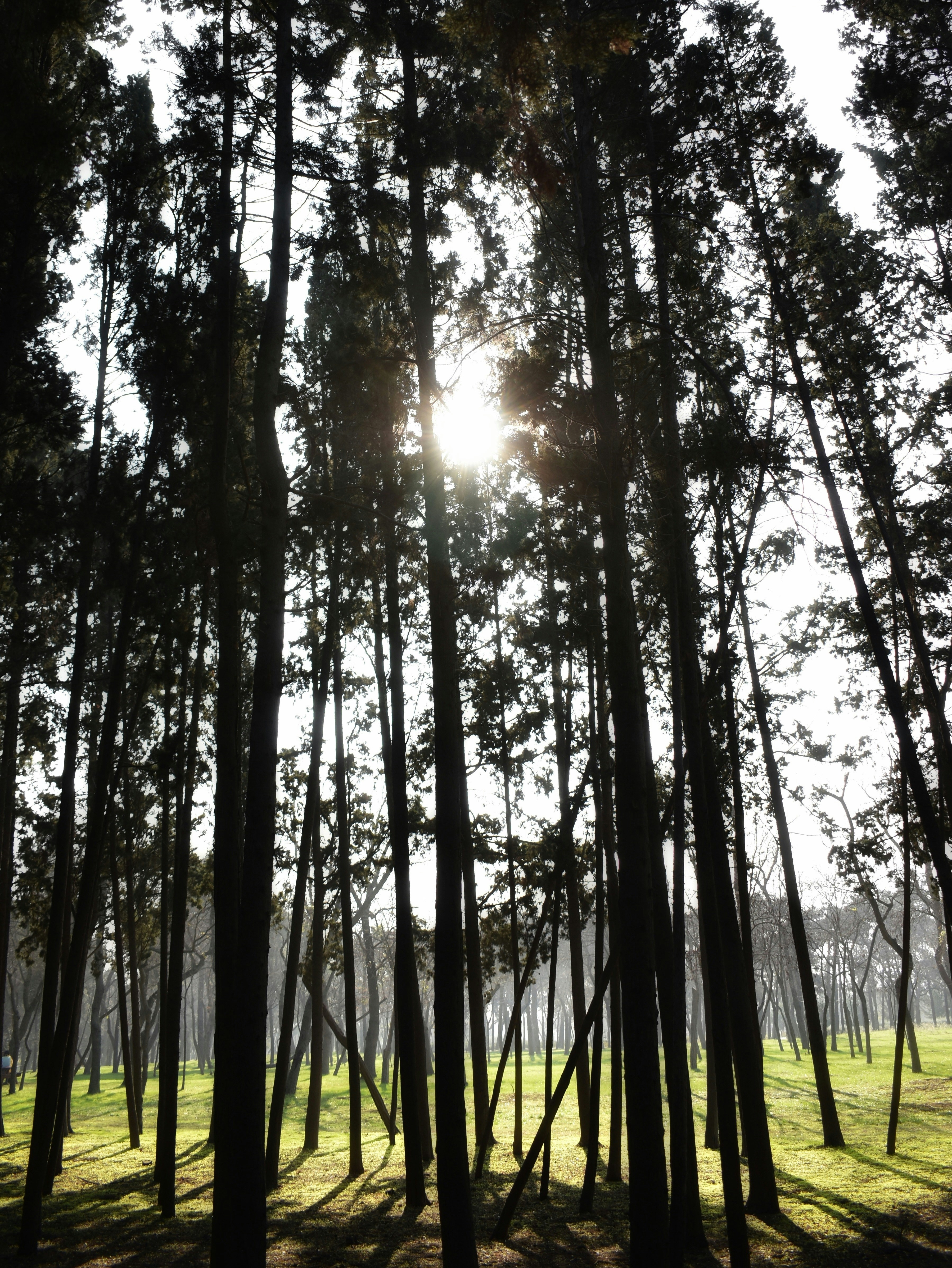 Photo by mustafakonuk