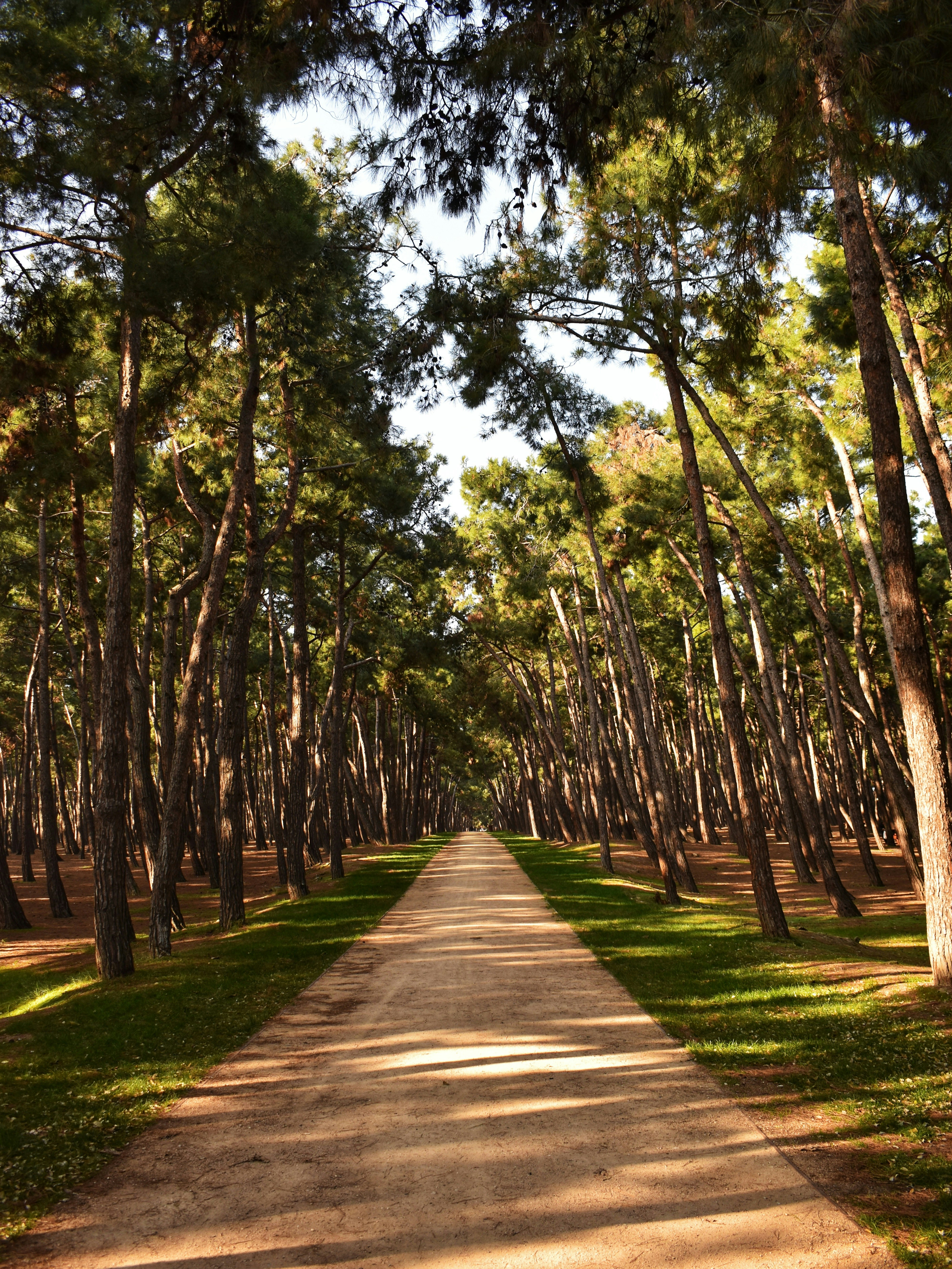 Photo by mustafakonuk